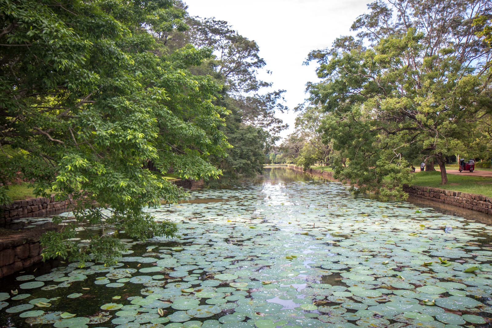 Visiting Sigiriya, Sri Lanka