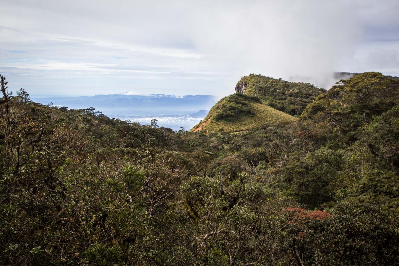 Horton Plains National Park, Sri Lanka