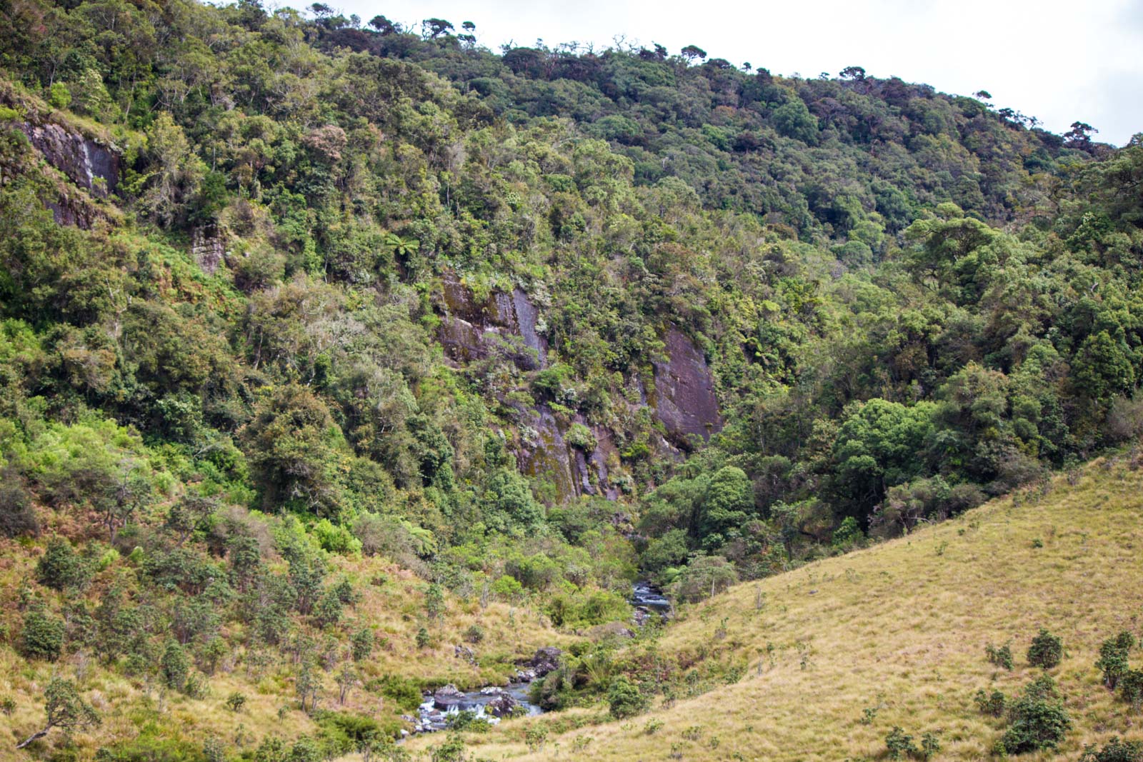 Horton Plains National Park, Sri Lanka