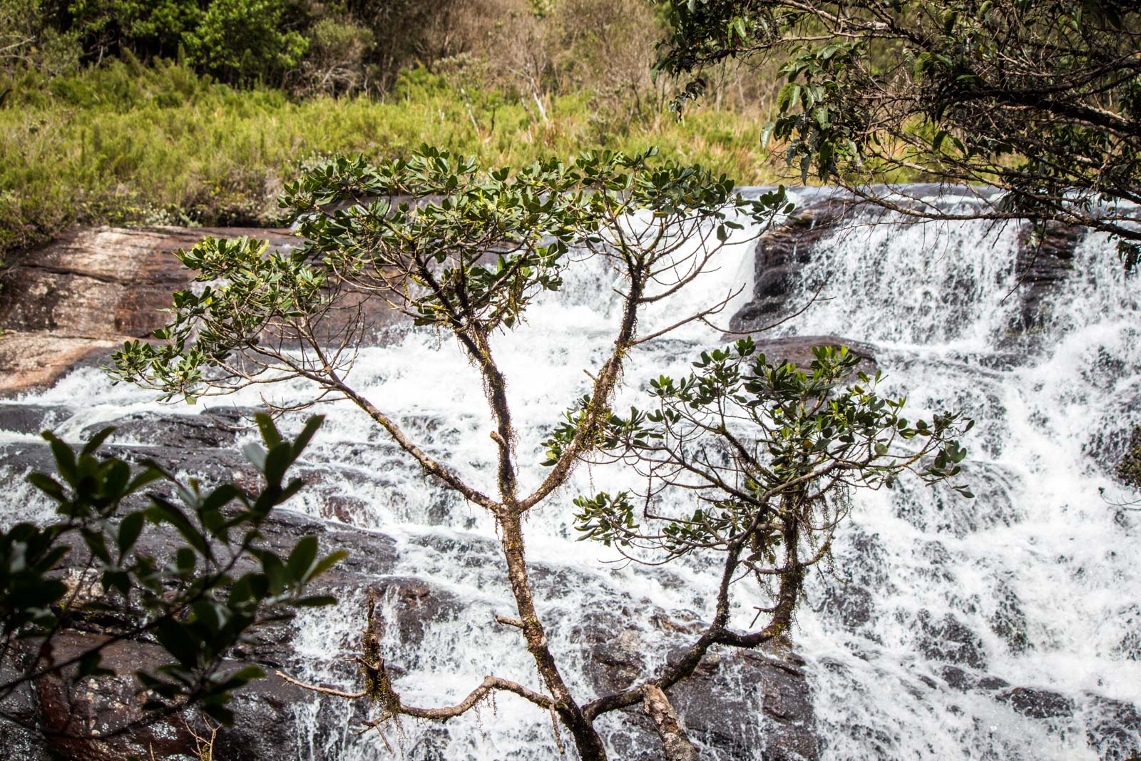 Horton Plains National Park, Sri Lanka