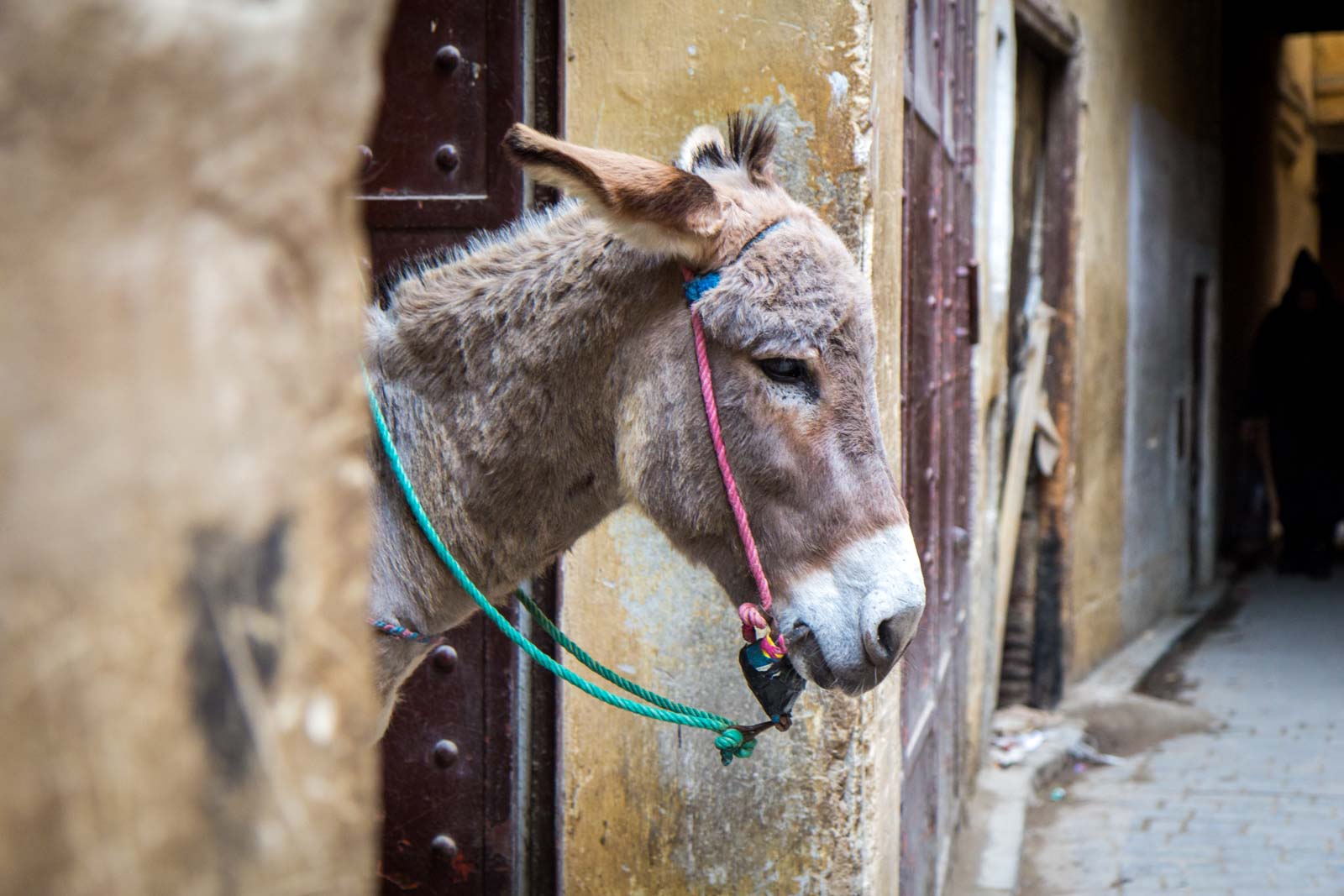 How to deal with touts in Morocco, Fez