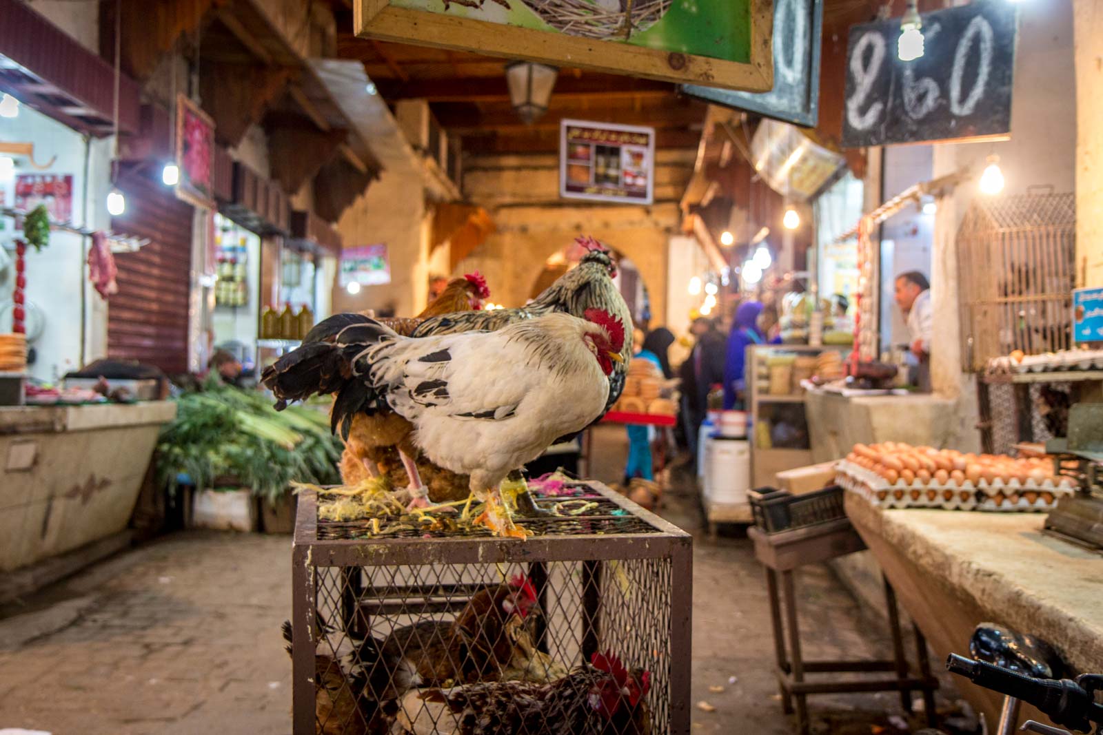 Medina of Fez, Morocco