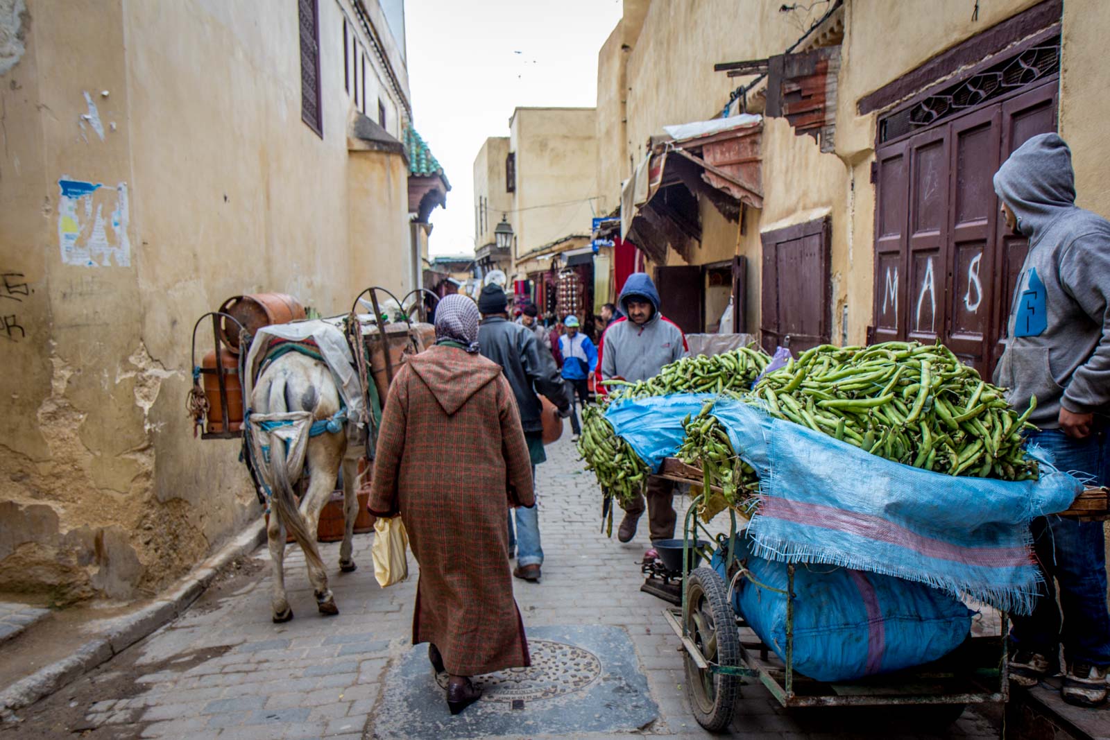How to deal with touts in Morocco, Fez