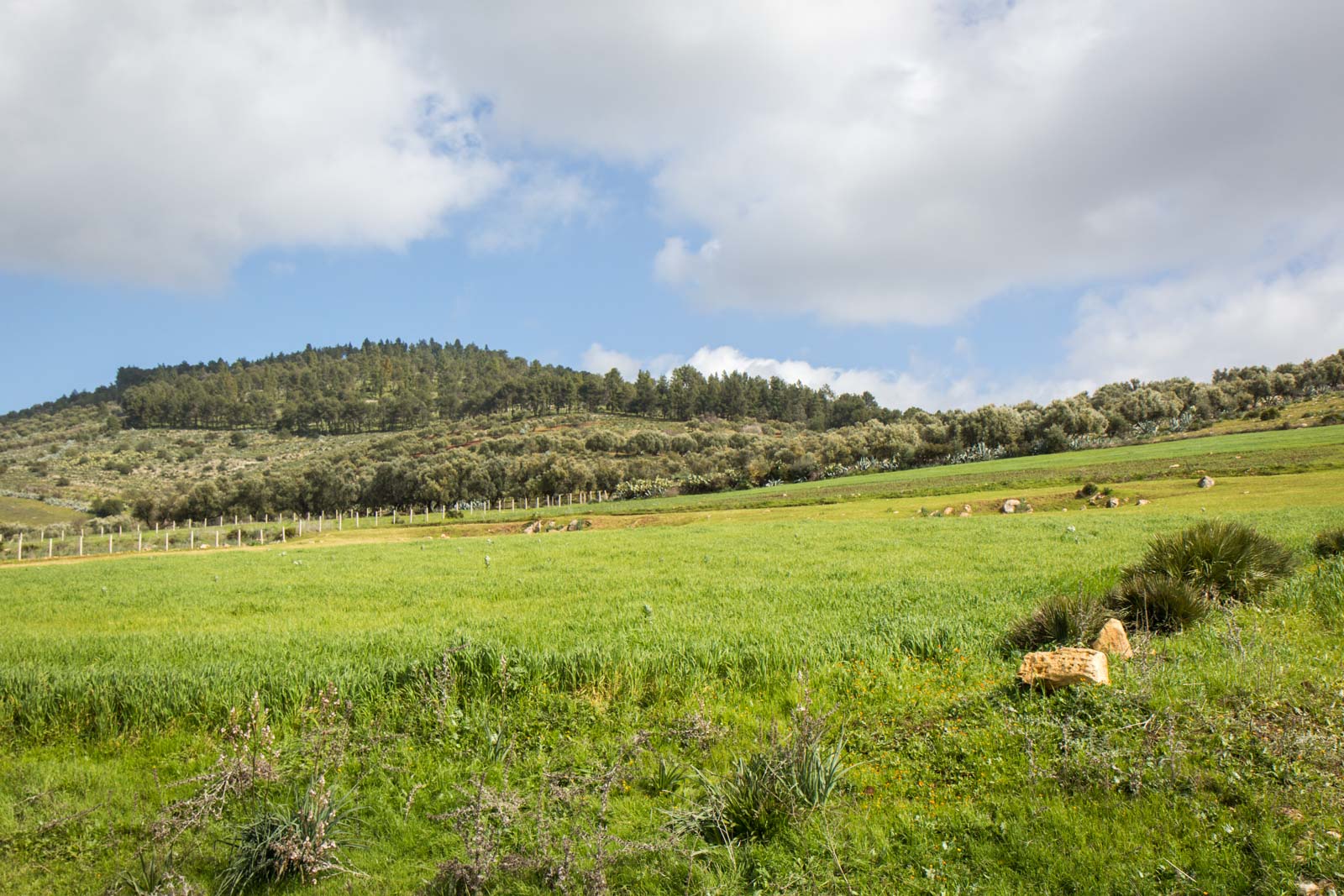 Visiting Moulay Idriss, Morocco