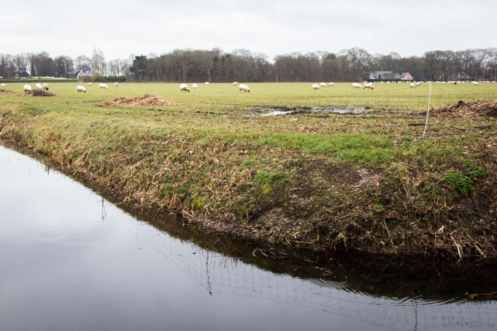 Van Gogh House, Nieuw Amsterdam, Netherlands