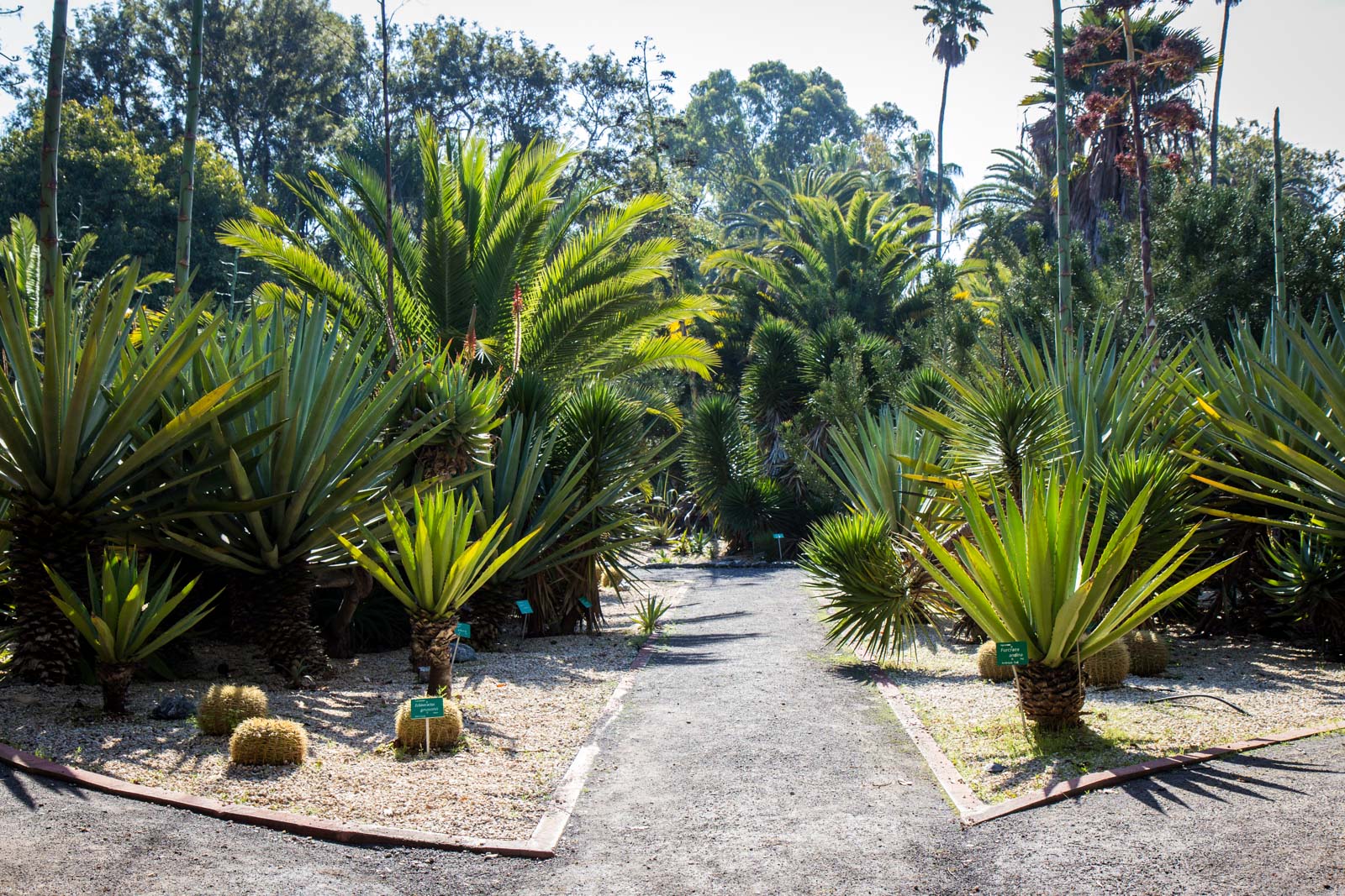 Things to see in Rabat, Morocco