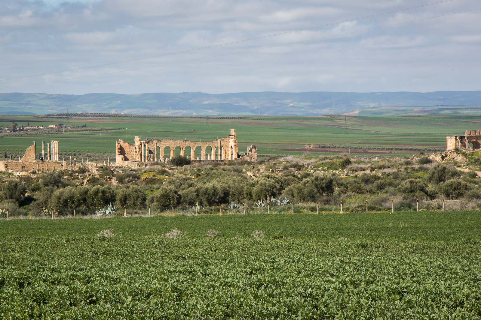 Archaeological Site of Volubilis, Morocco