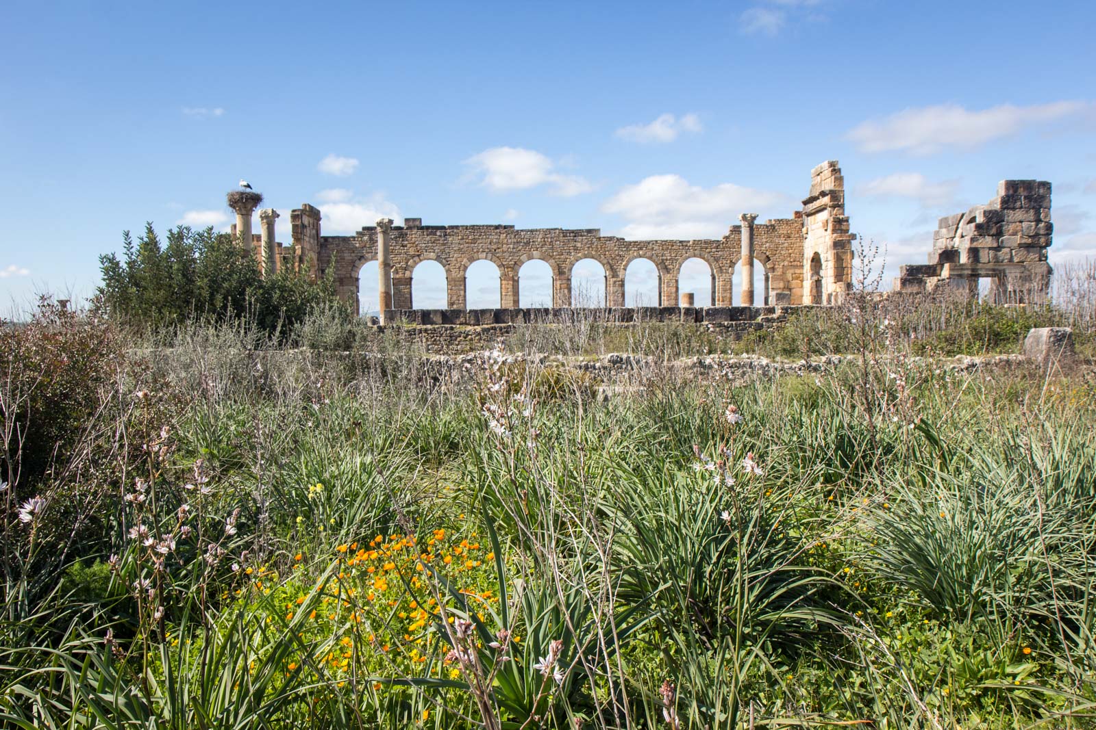 Archaeological Site of Volubilis, Morocco