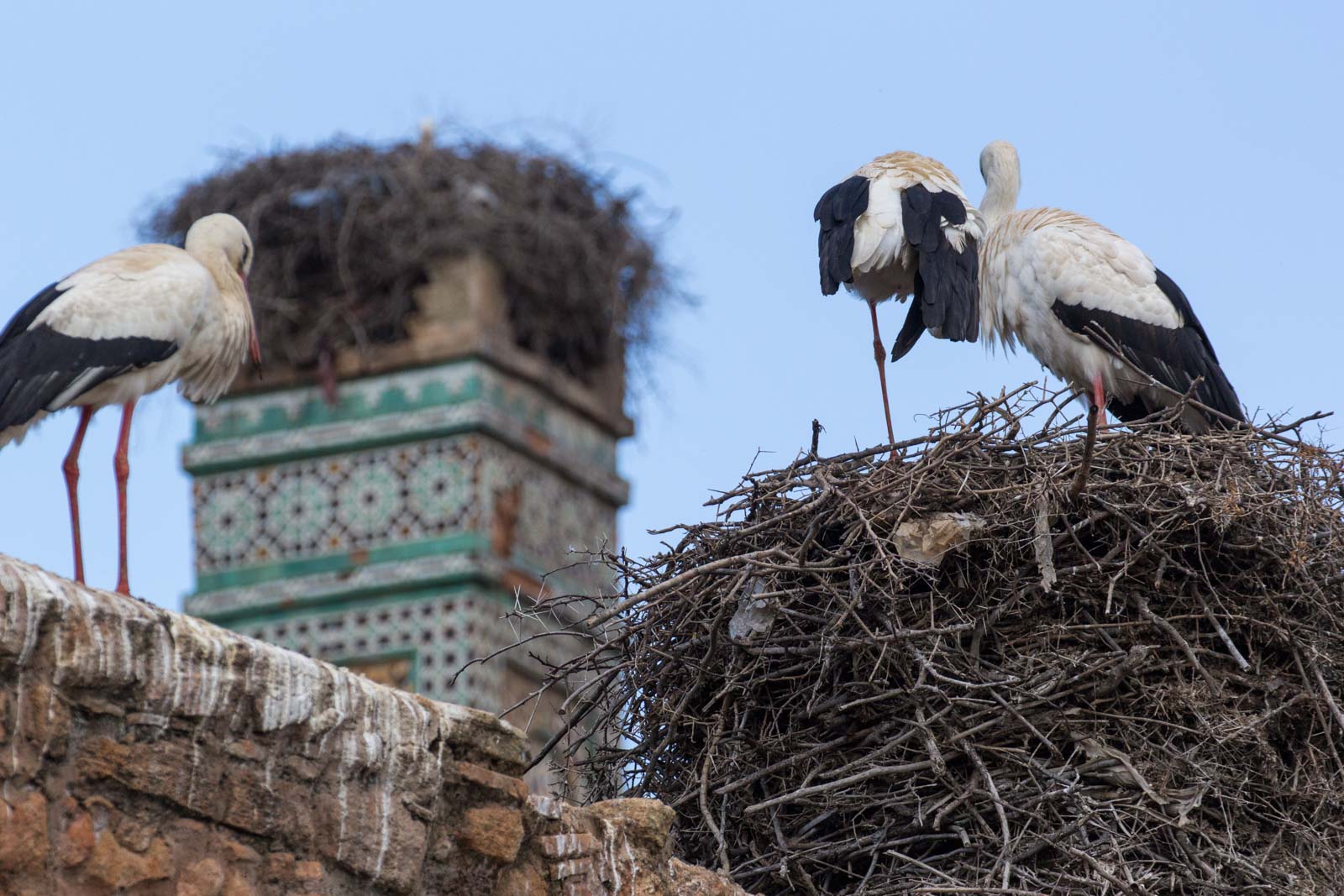 Things to see in Rabat, Morocco