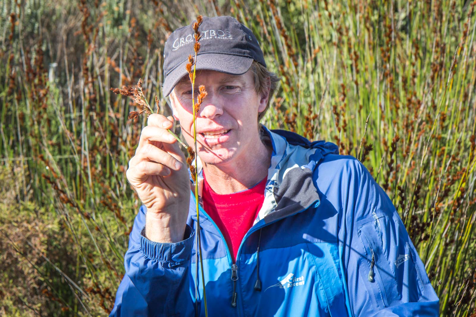 Grootbos Reserve, Cape Floral Region, South Africa