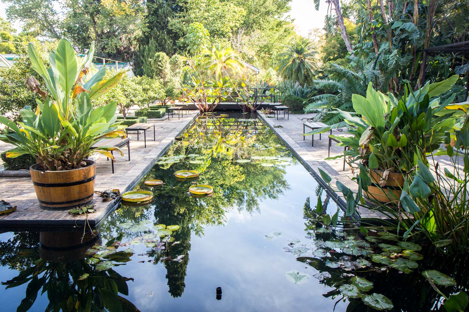 Reflections Public outdoor sculpture exhibition in Stellenbosch