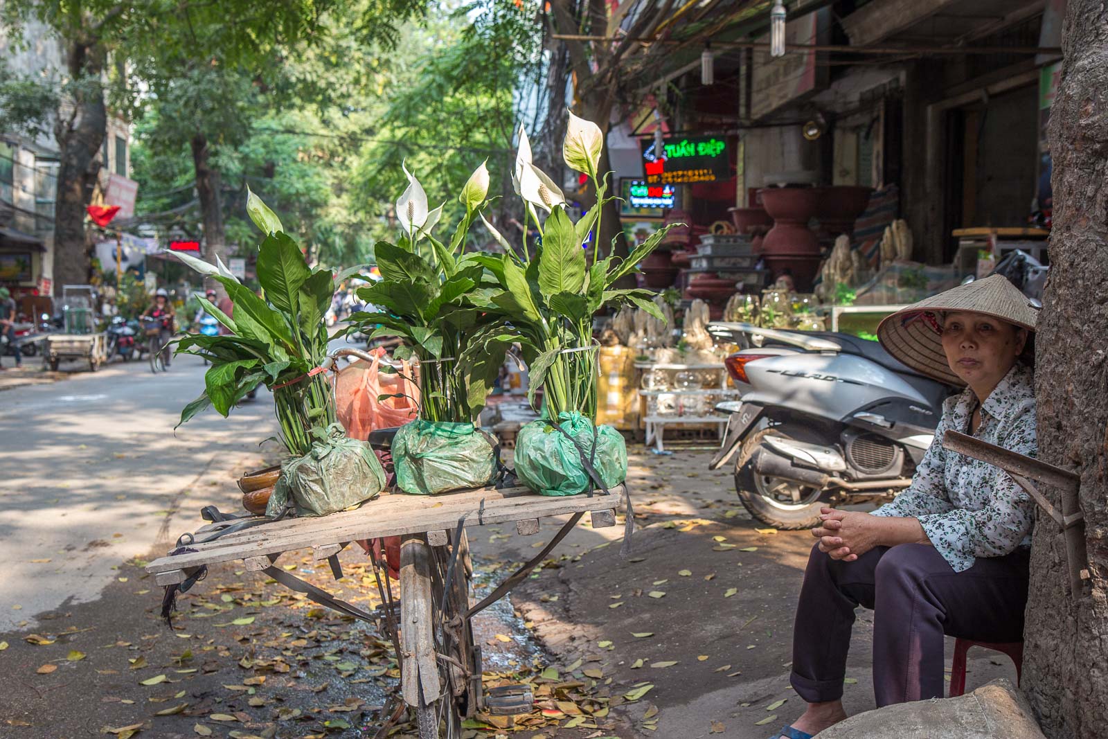 hoang hoa tham street