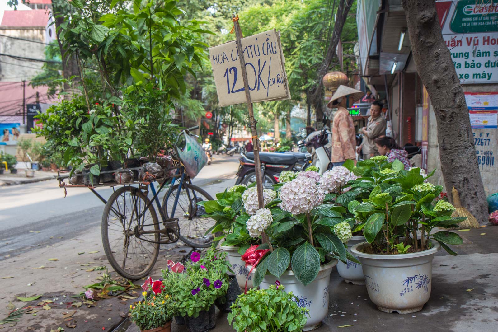 Prettiest Street in Hanoi, Vietnam