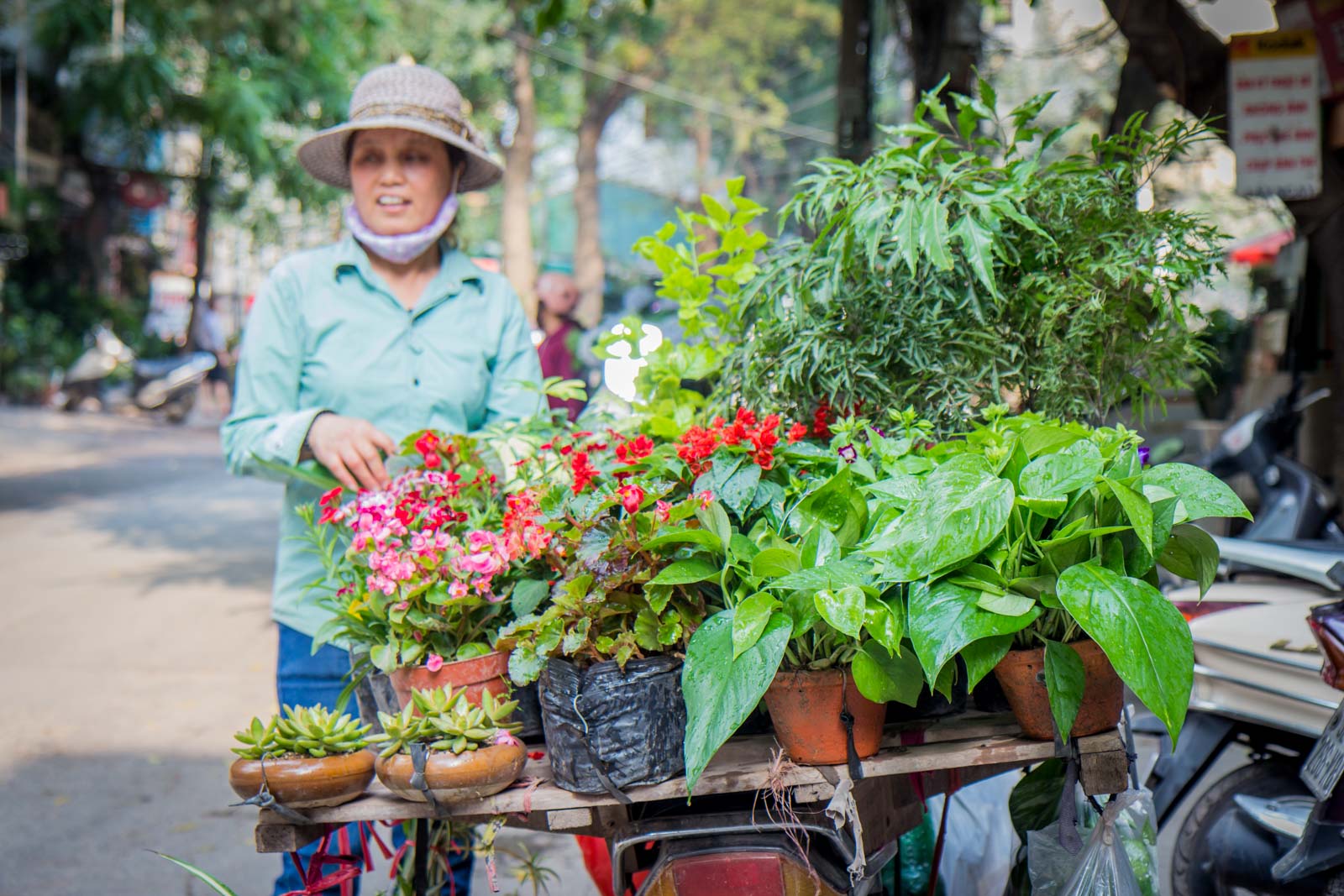Prettiest Street in Hanoi, Vietnam