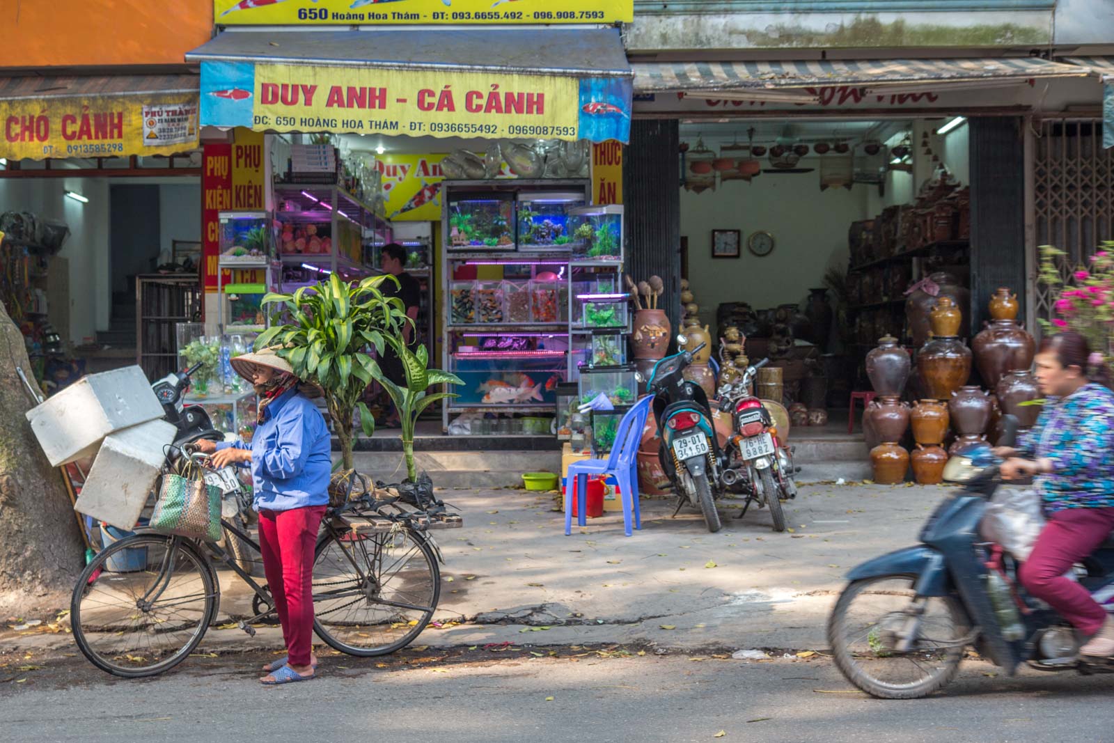 Prettiest Street in Hanoi, Vietnam