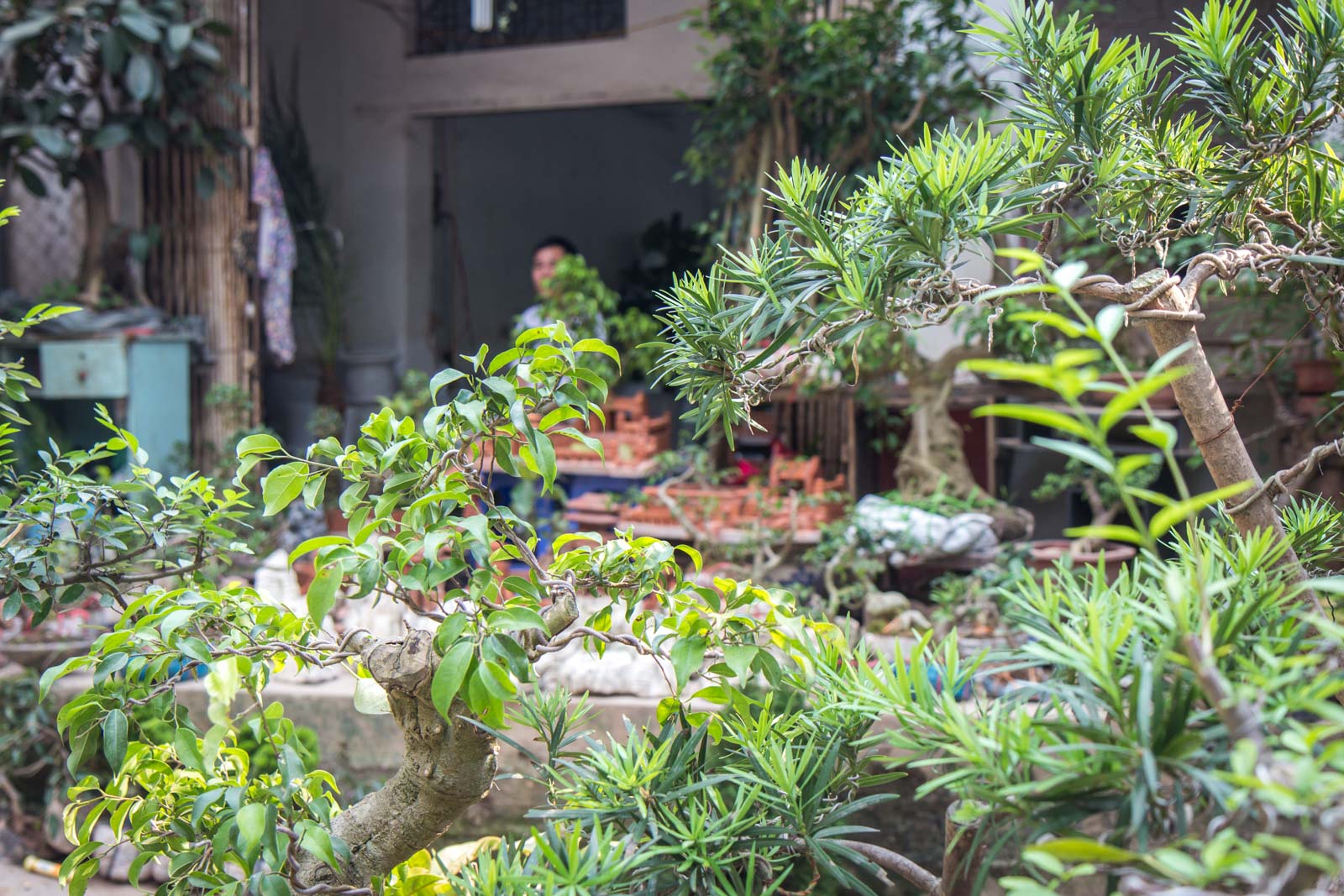 Prettiest Street in Hanoi, Vietnam