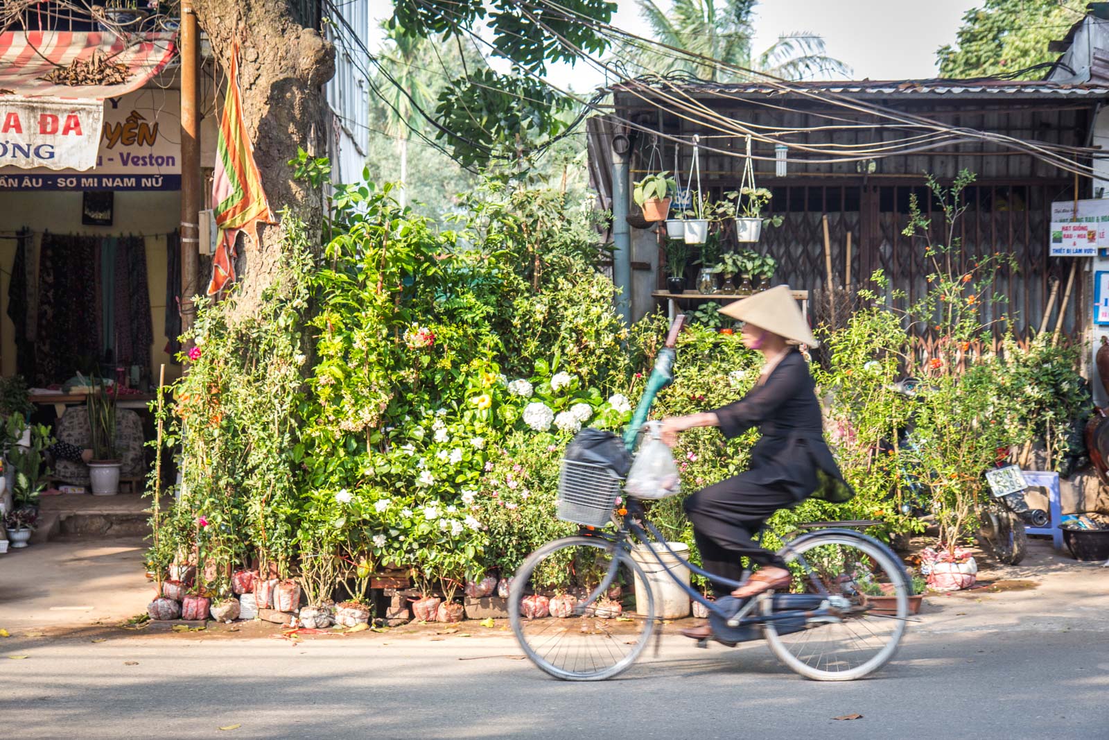 Prettiest Street in Hanoi, Vietnam