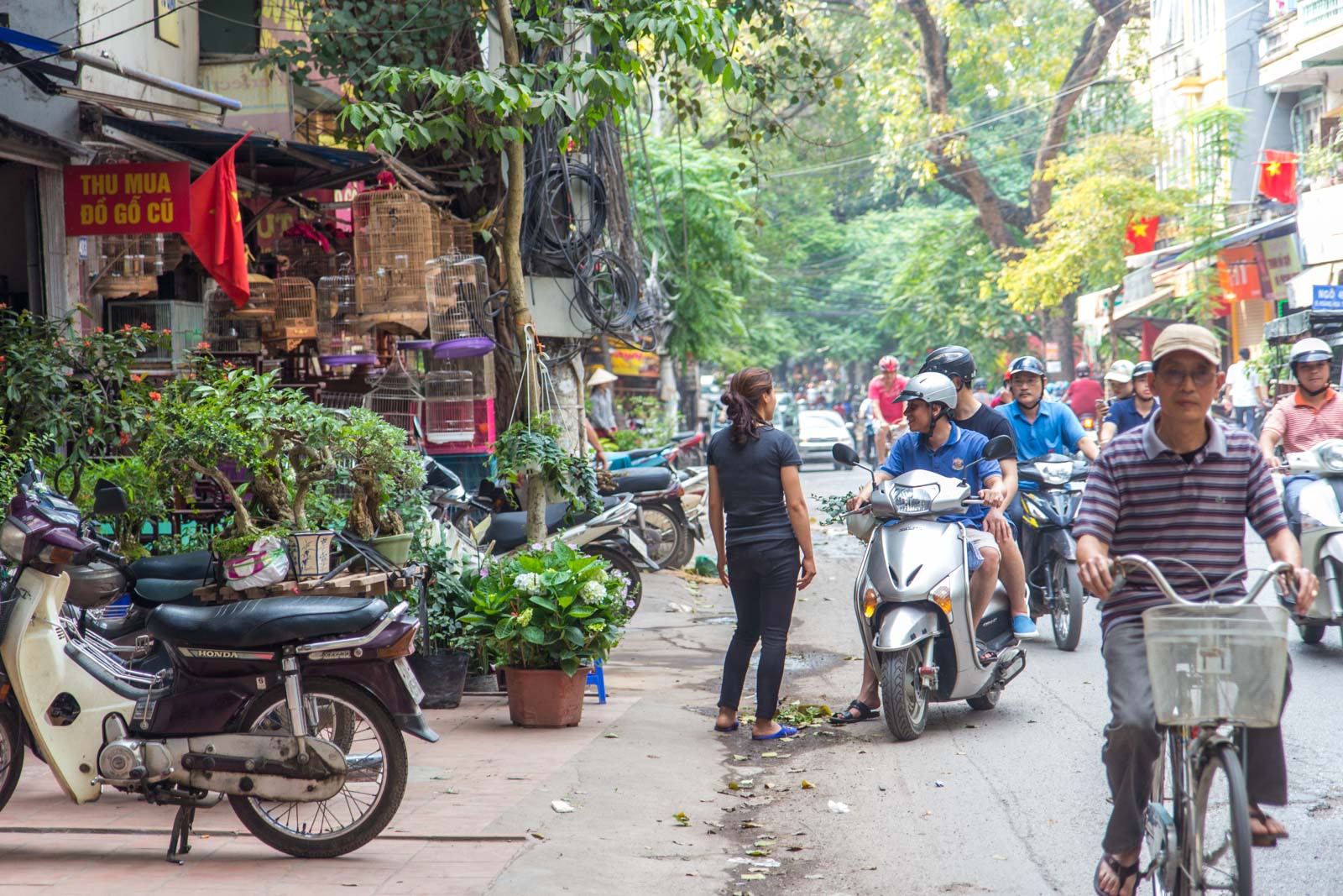 Prettiest Street in Hanoi, Vietnam