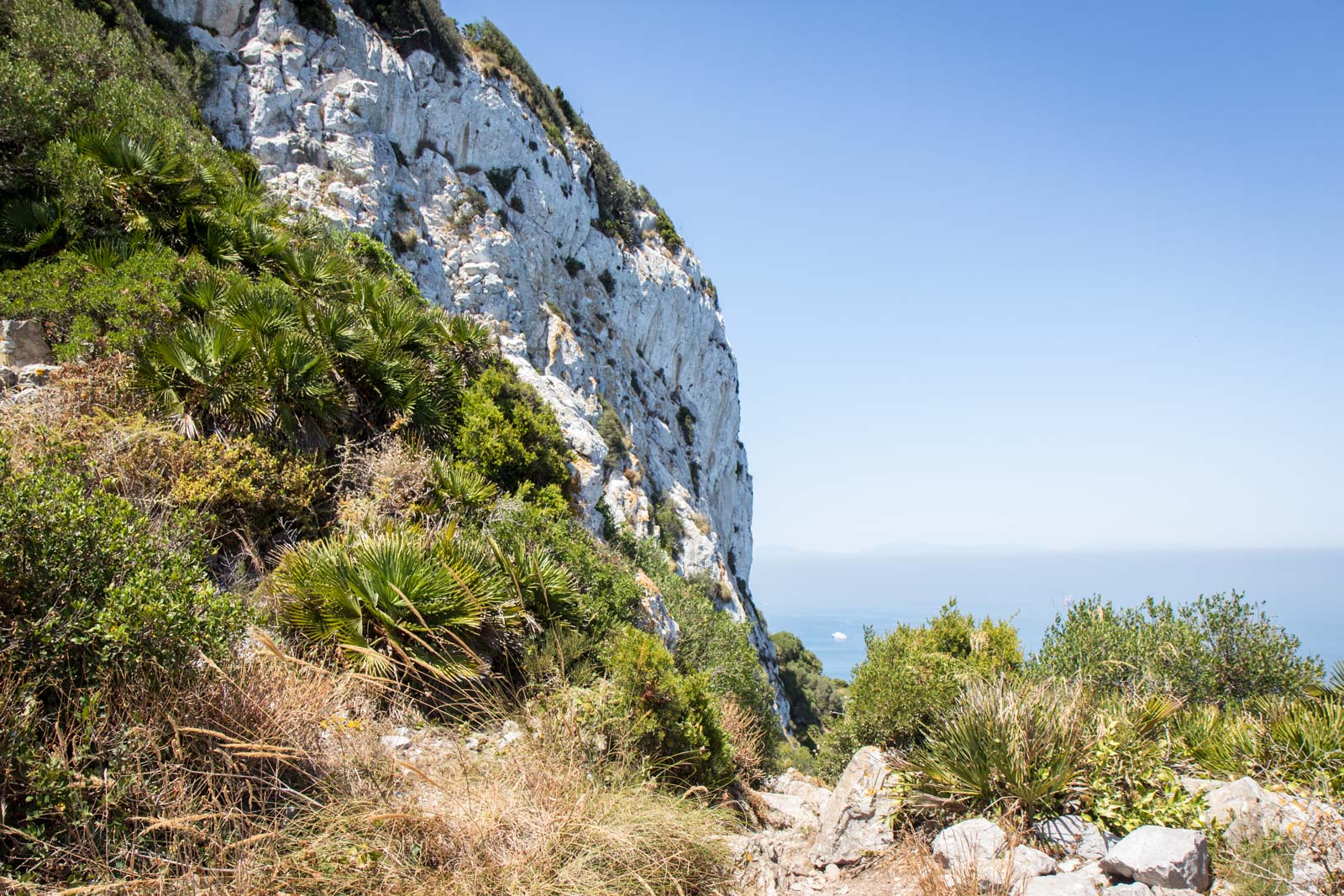 Mediterranean Steps, Rock of Gibraltar