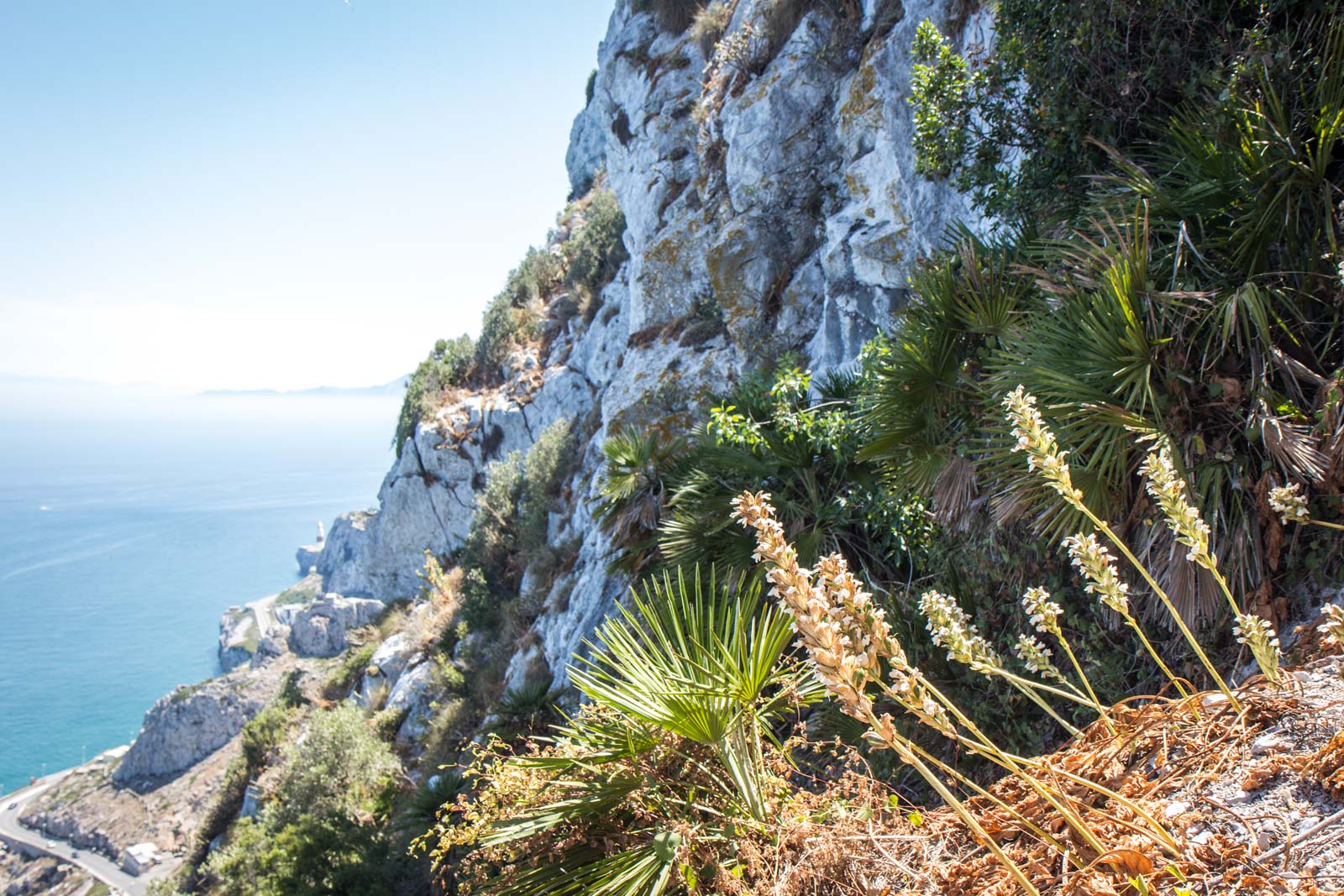 Mediterranean Steps, Rock of Gibraltar