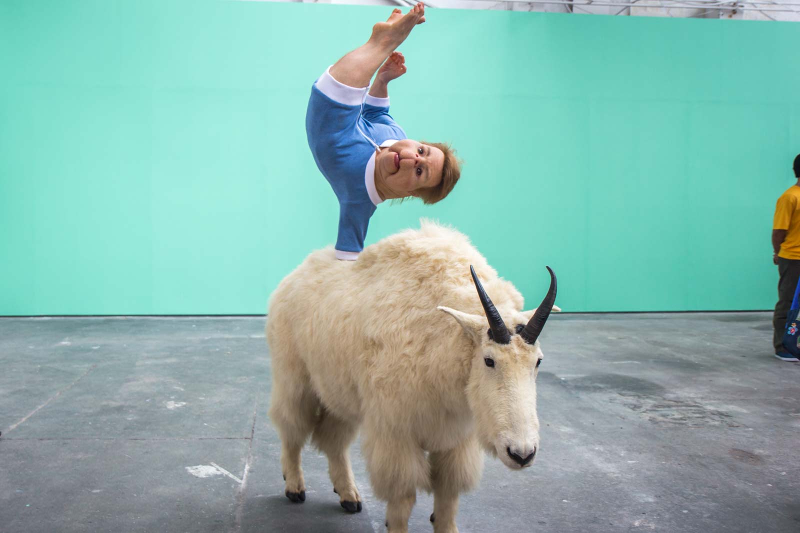 Patricia Piccinini exhibition artworks