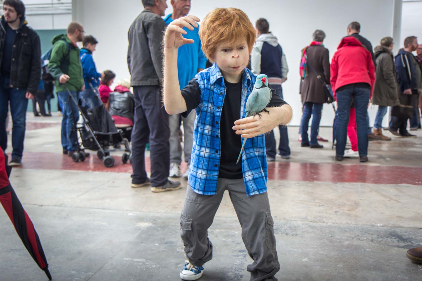 Patricia Piccinini exhibition artworks