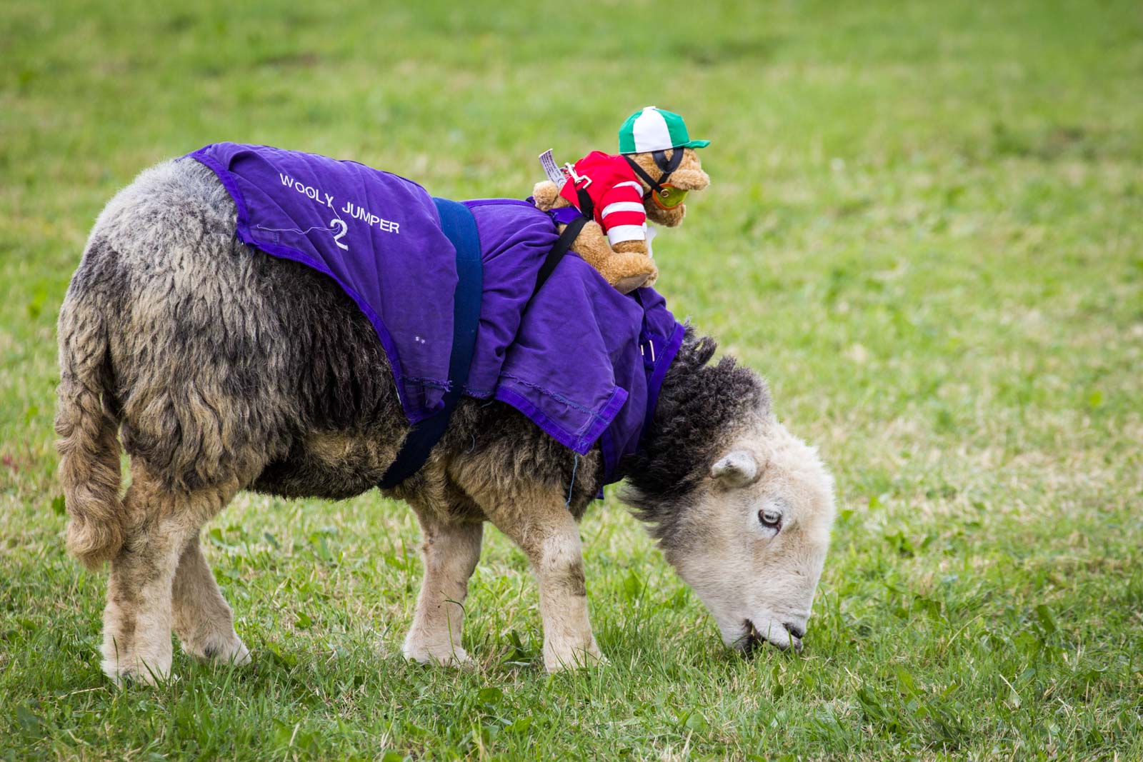 Garlic Festival, Isle of Wight, England