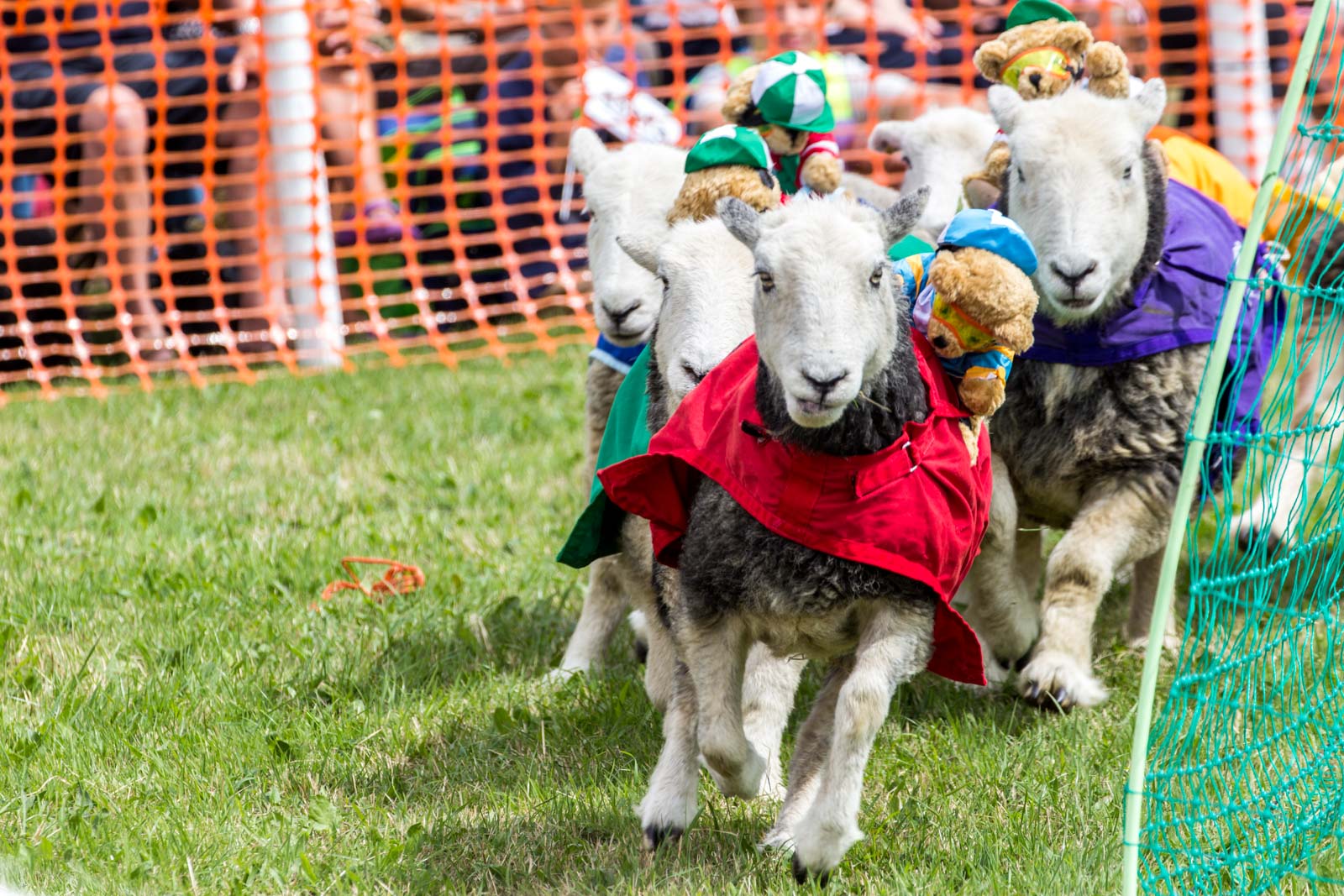 Garlic Festival, Isle of Wight, England