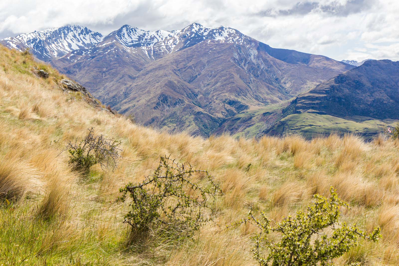 Rocky Mountain Hike, Wanaka, New Zealand