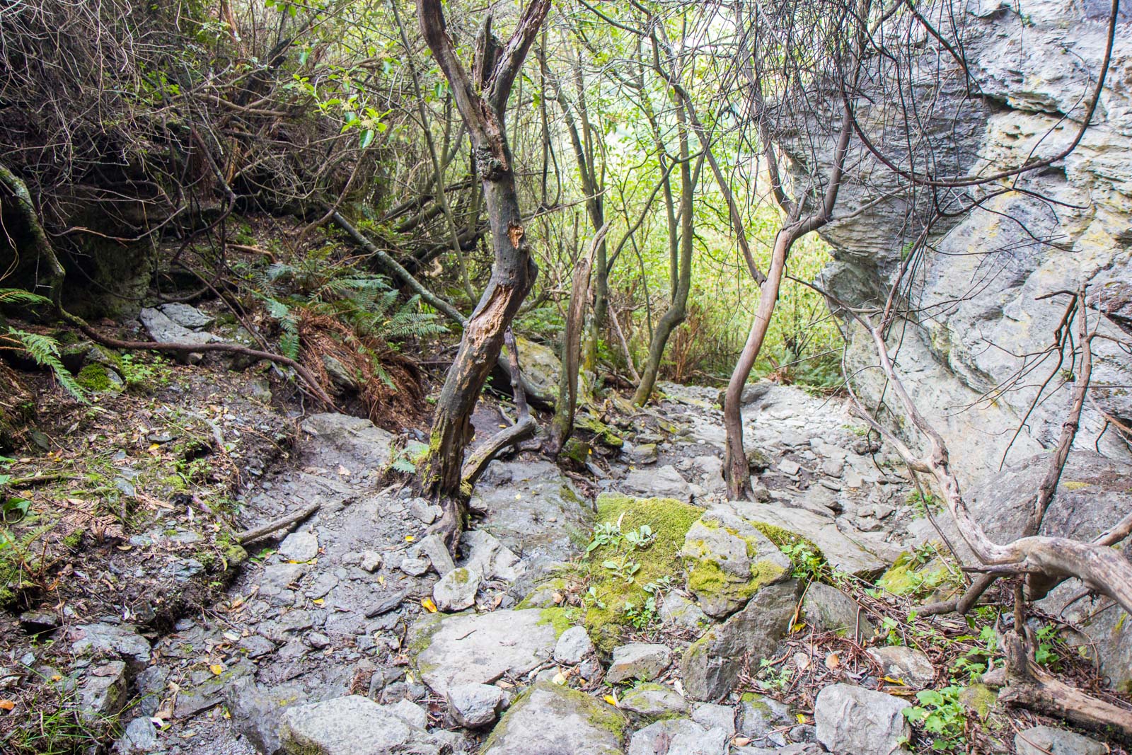 Rocky Mountain Hike, Wanaka, New Zealand