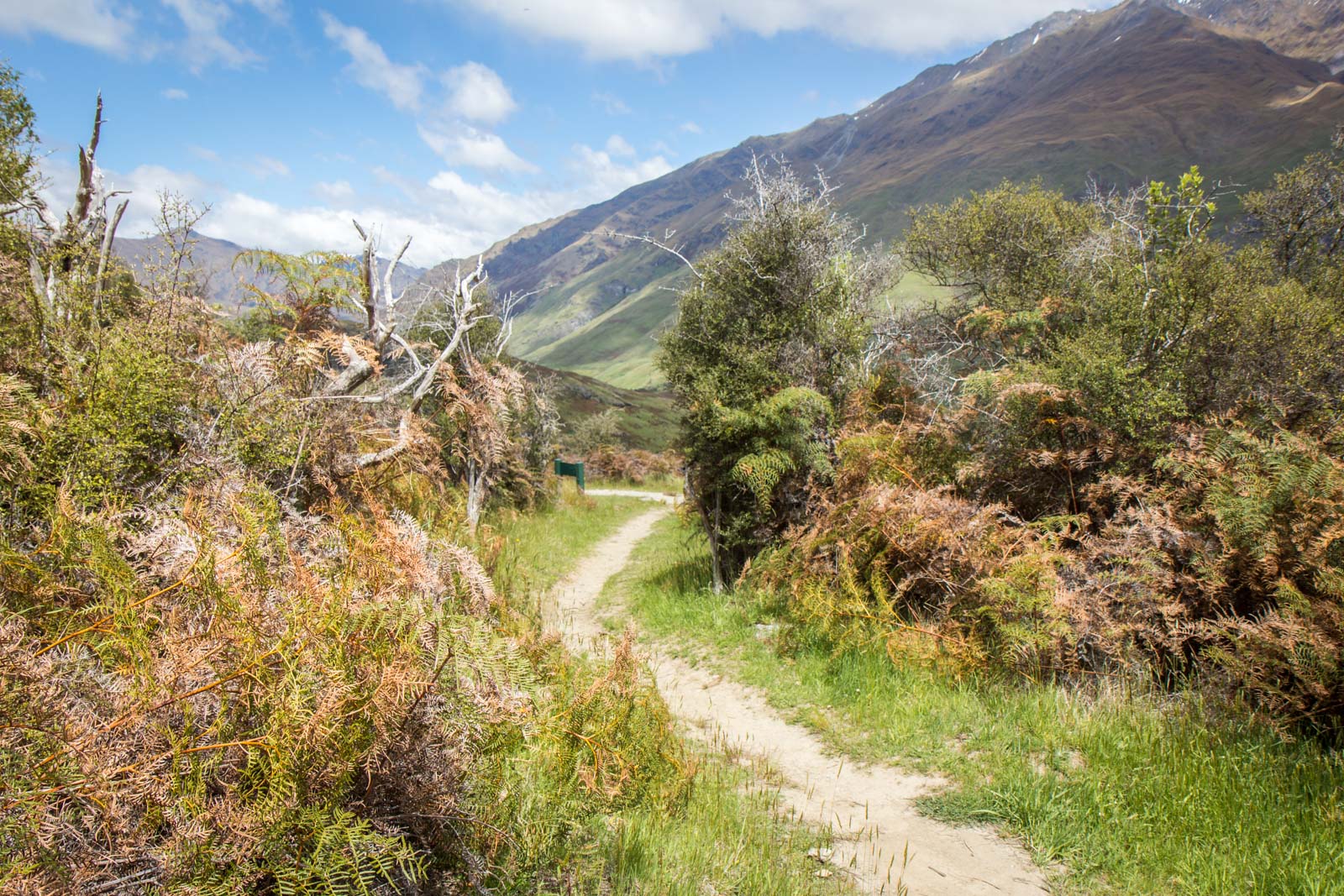 Rocky Mountain Hike, Wanaka, New Zealand