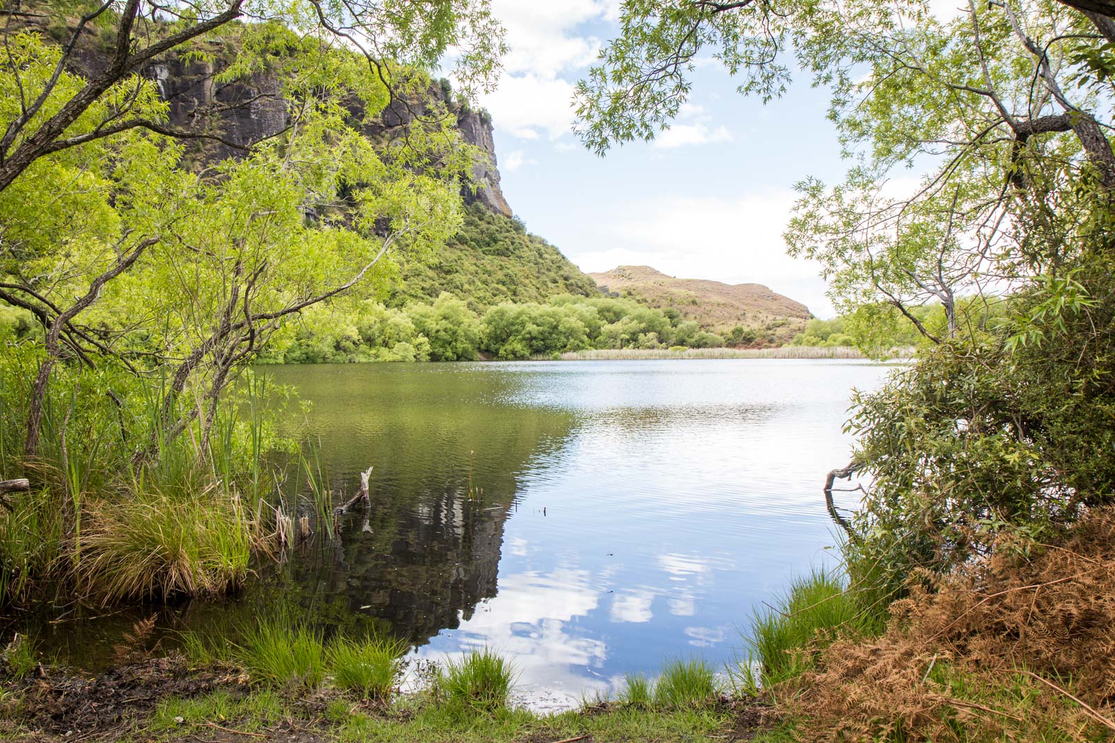 Rocky Mountain Hike, Wanaka, New Zealand