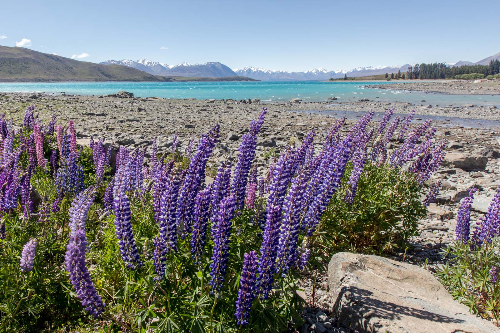 Rocky Mountain Hike, Wanaka, New Zealand