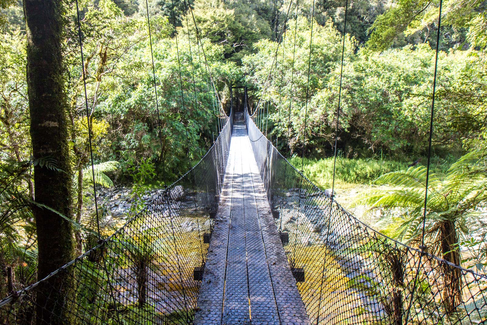 Monro Beach track, South Island, New Zealand
