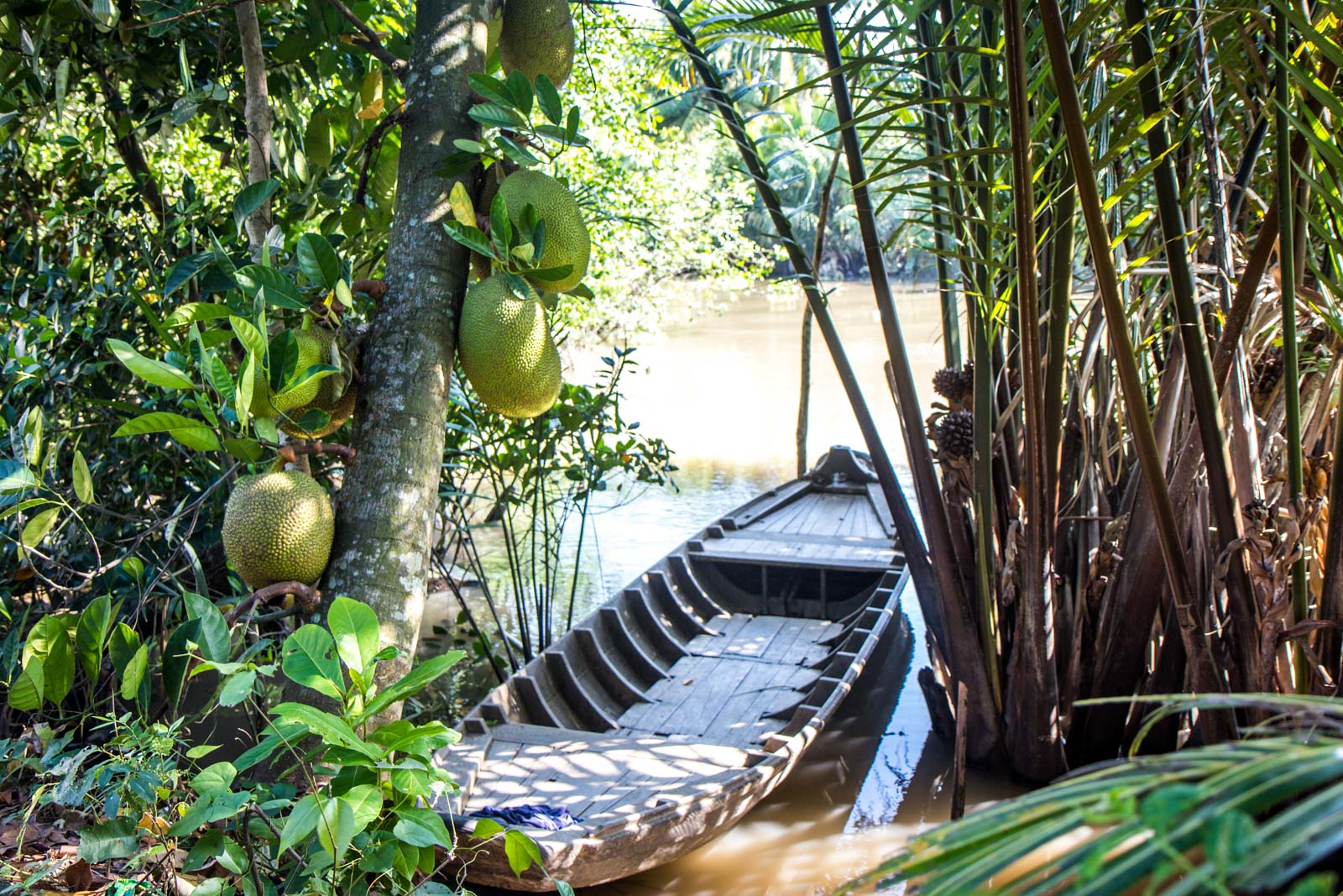 Can Tho Mekong tour, Vietnam