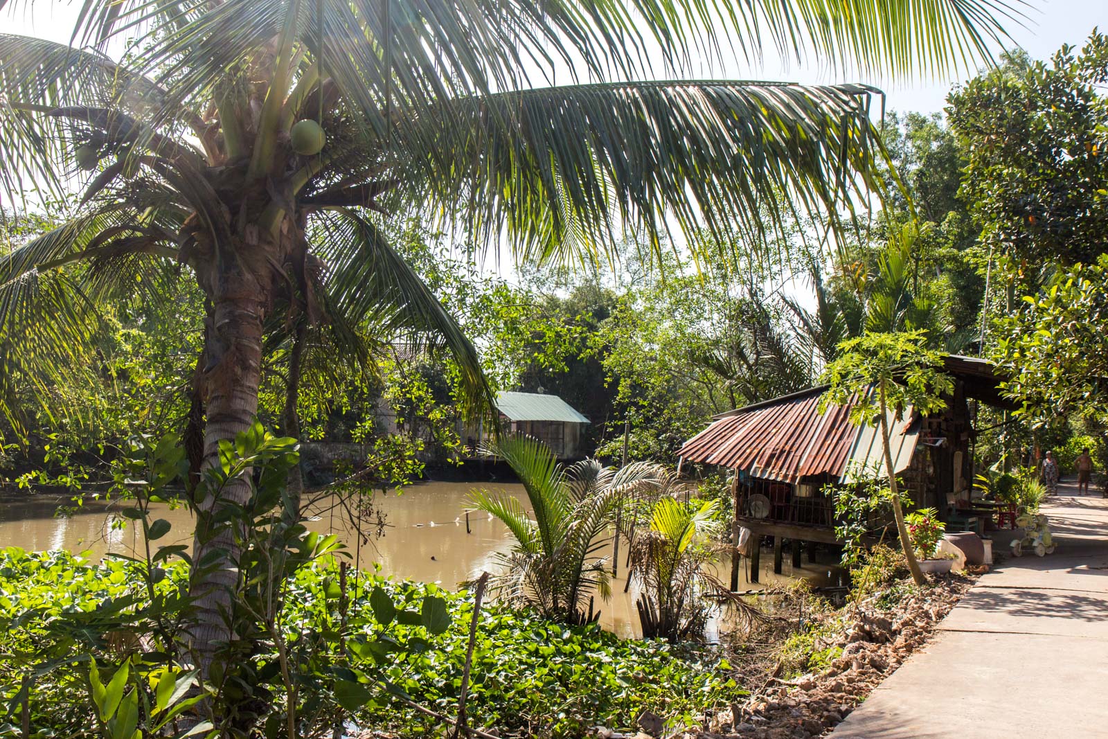 Can Tho Mekong tour, Vietnam