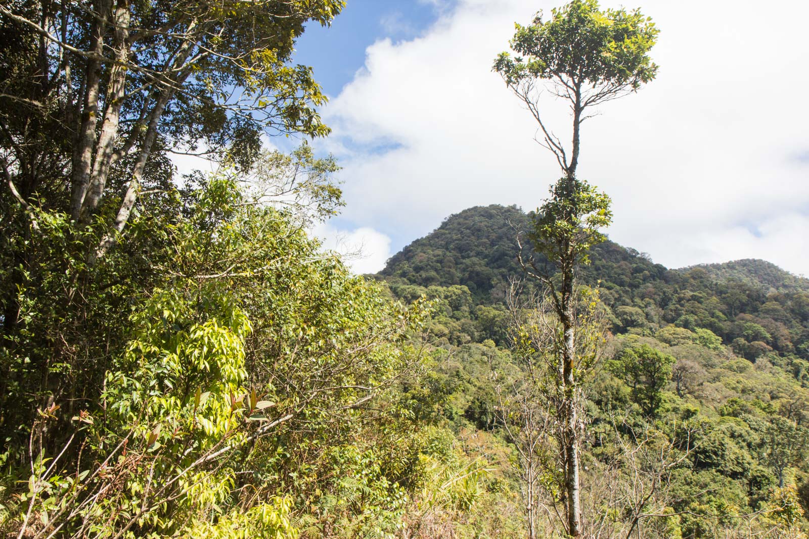 Lang Biang hike, Dalat, Vietnam