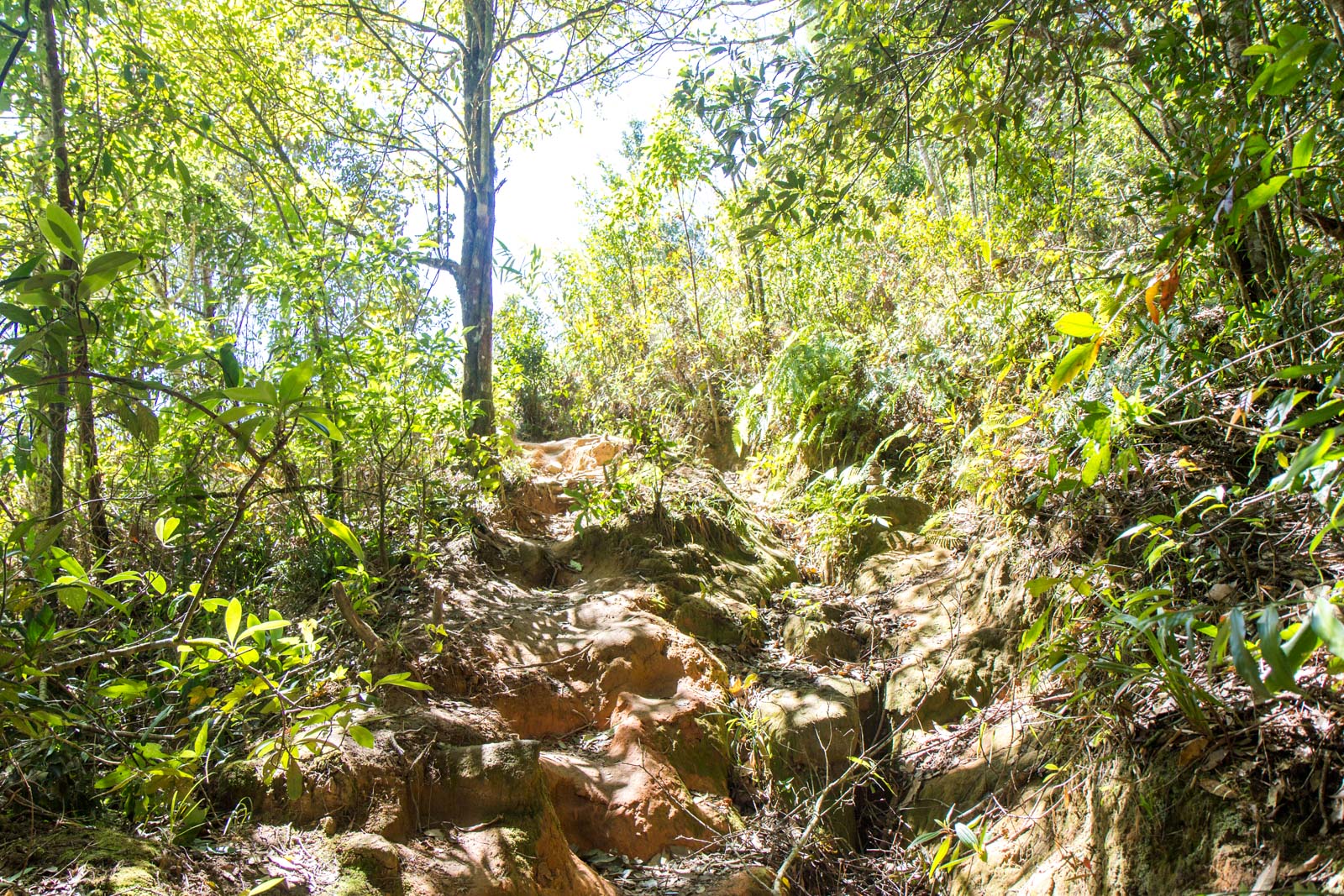 Lang Biang hike, Dalat, Vietnam