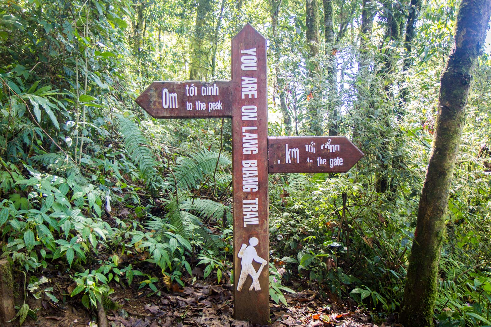 Lang Biang hike, Dalat, Vietnam