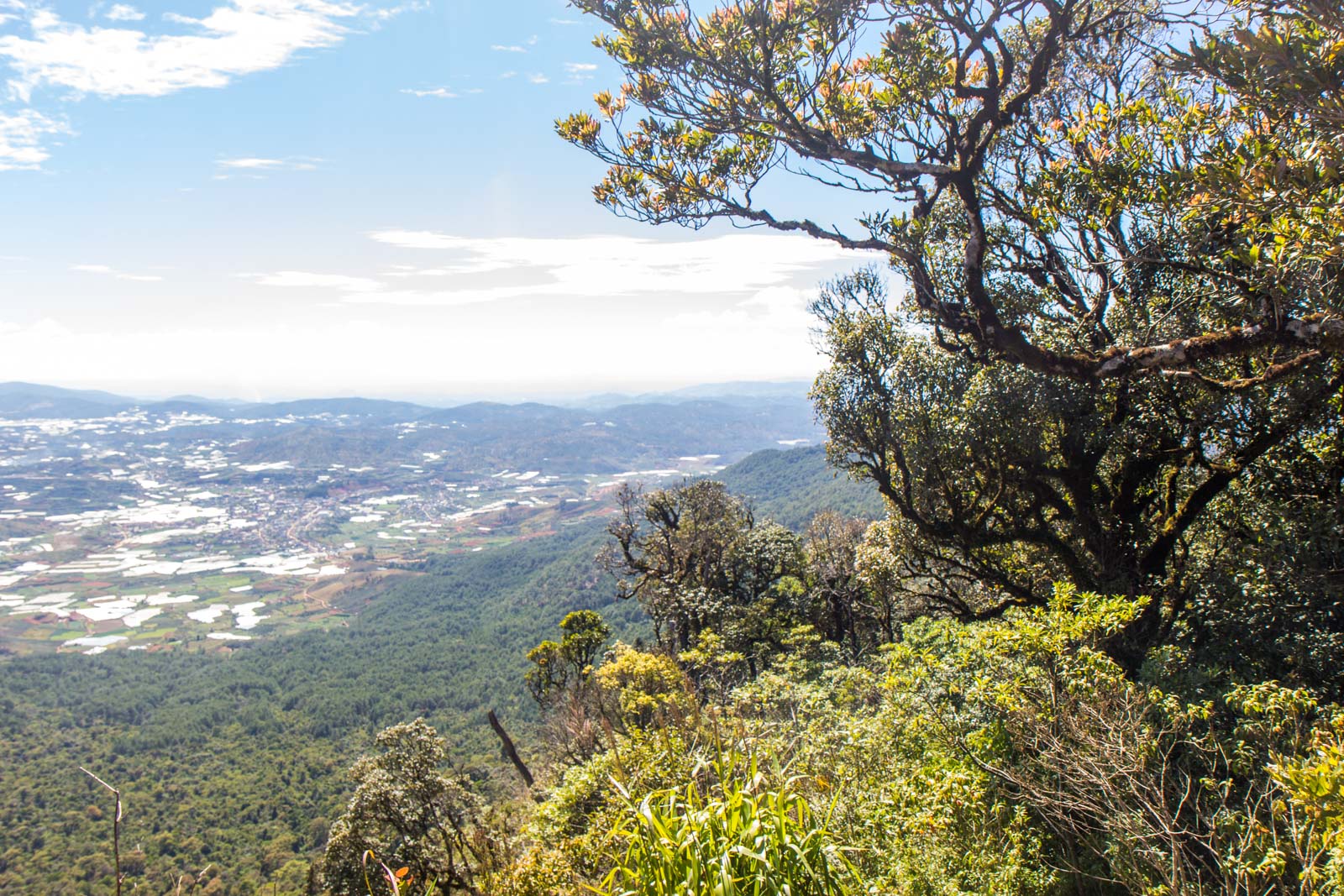 Lang Biang hike, Dalat, Vietnam