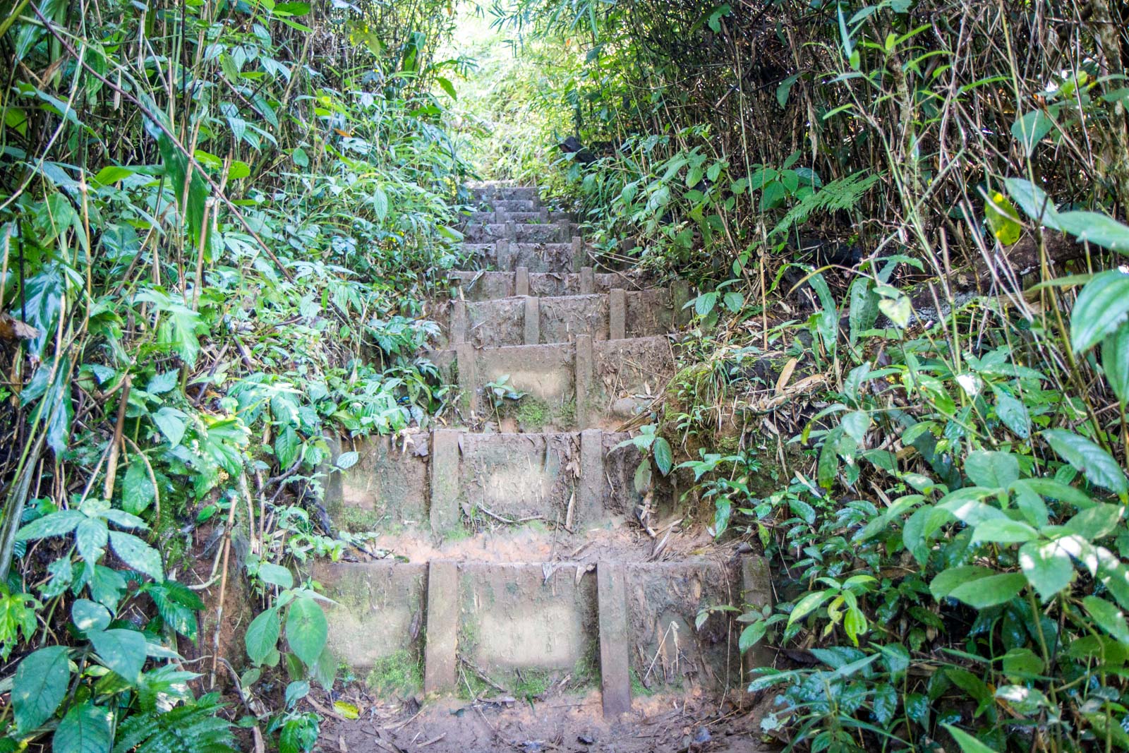 Lang Biang hike, Dalat, Vietnam