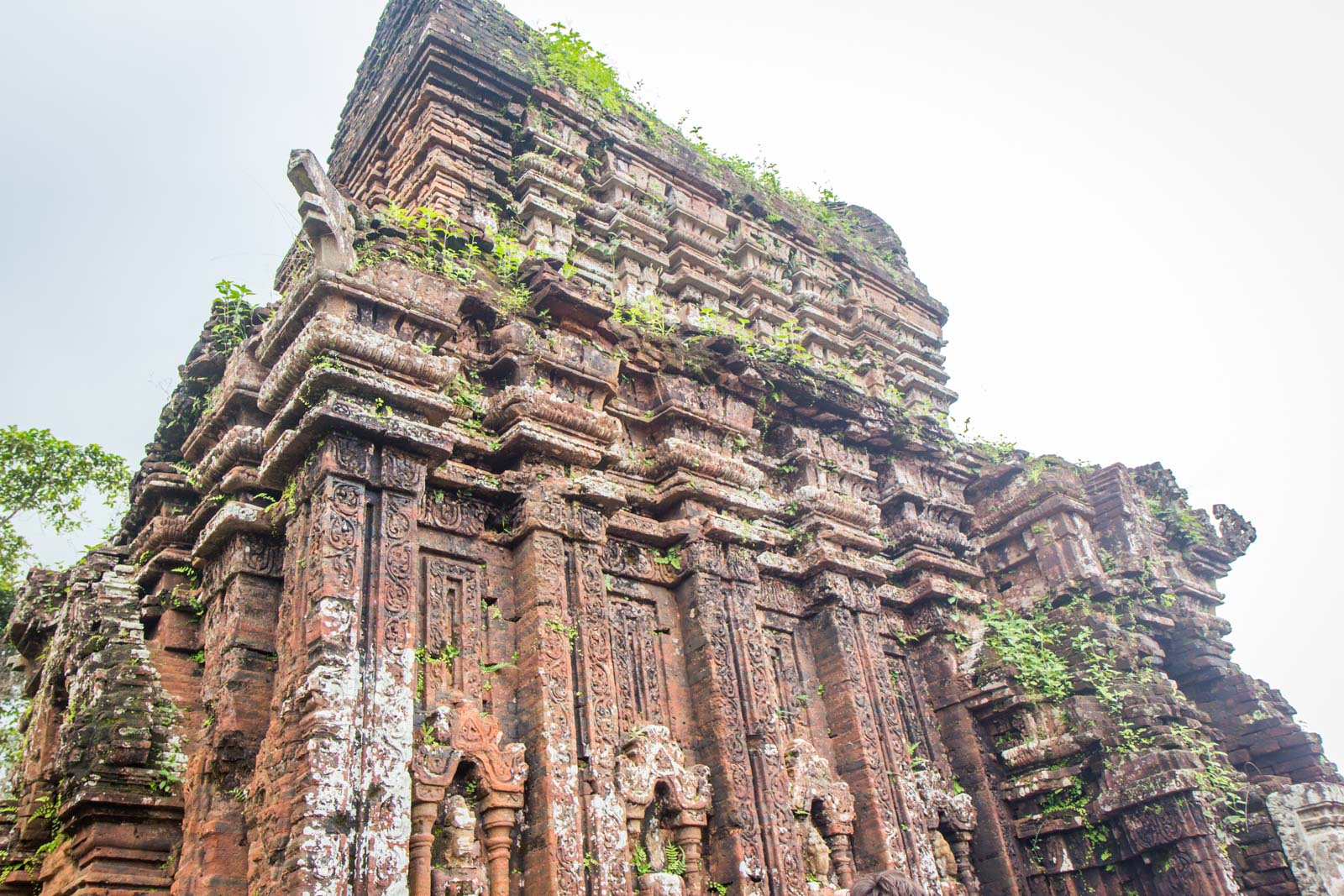 My Son ruins from Hoi An, Vietnam