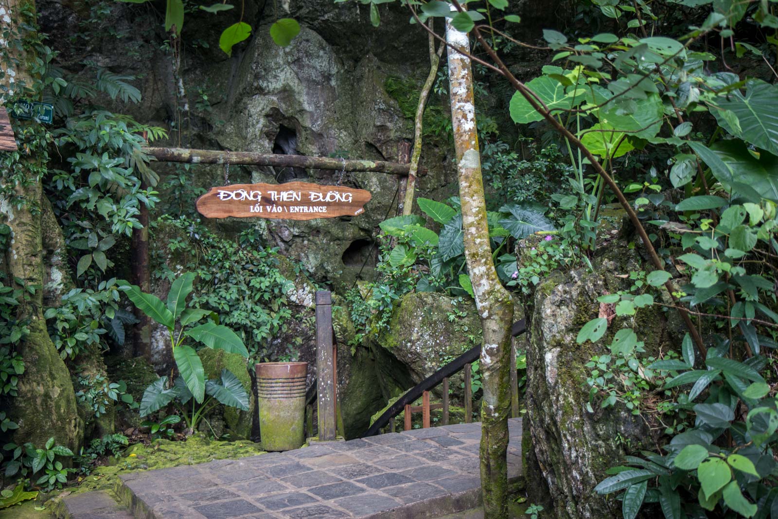 Paradise Cave, Phong Nha Ke-Bang National Park, Vietnam