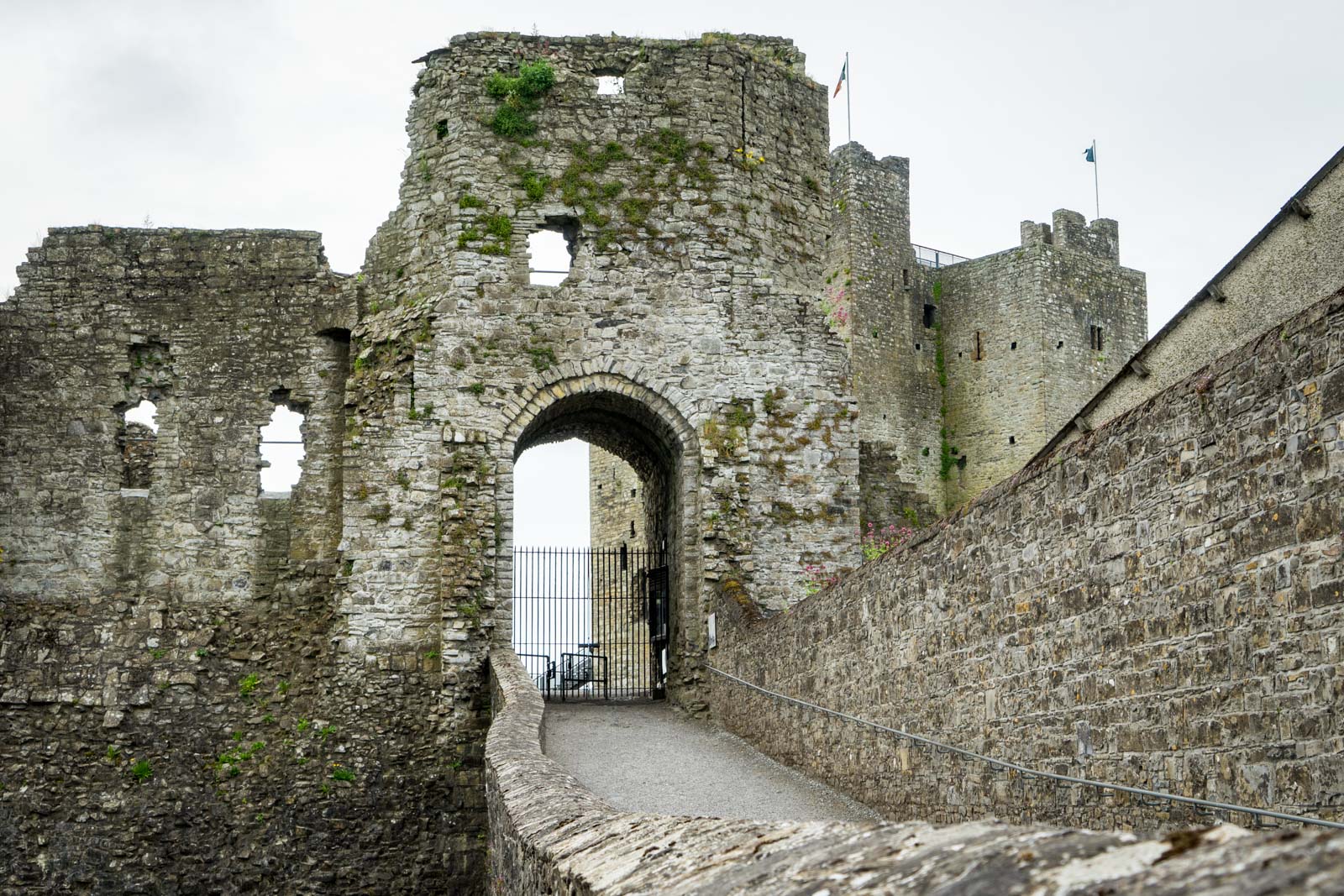 Visiting Trim Castle, Ireland