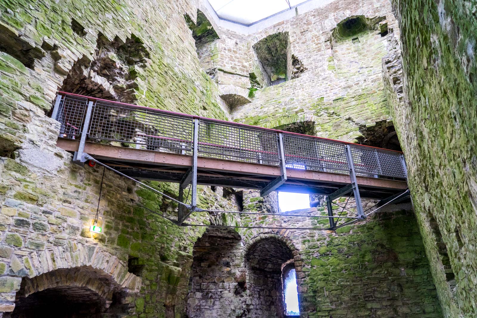 Visiting Trim Castle, Ireland