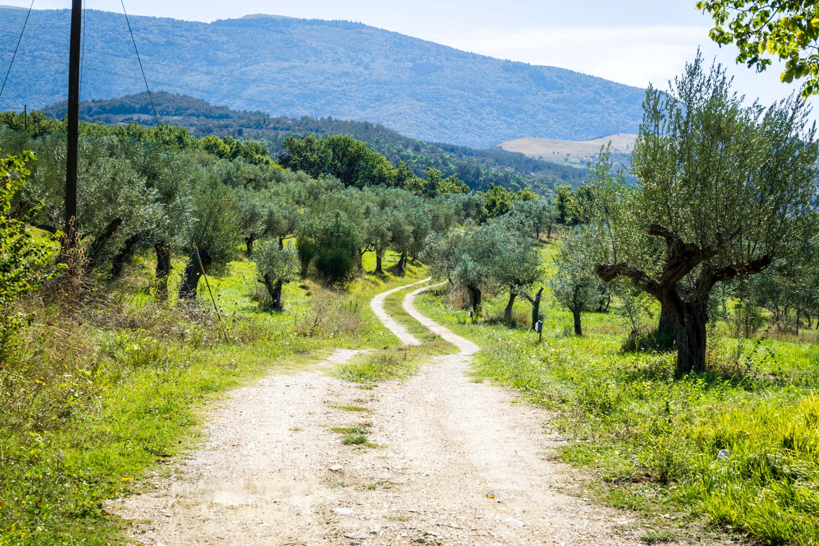 Walking the Way of St Francis, Italy