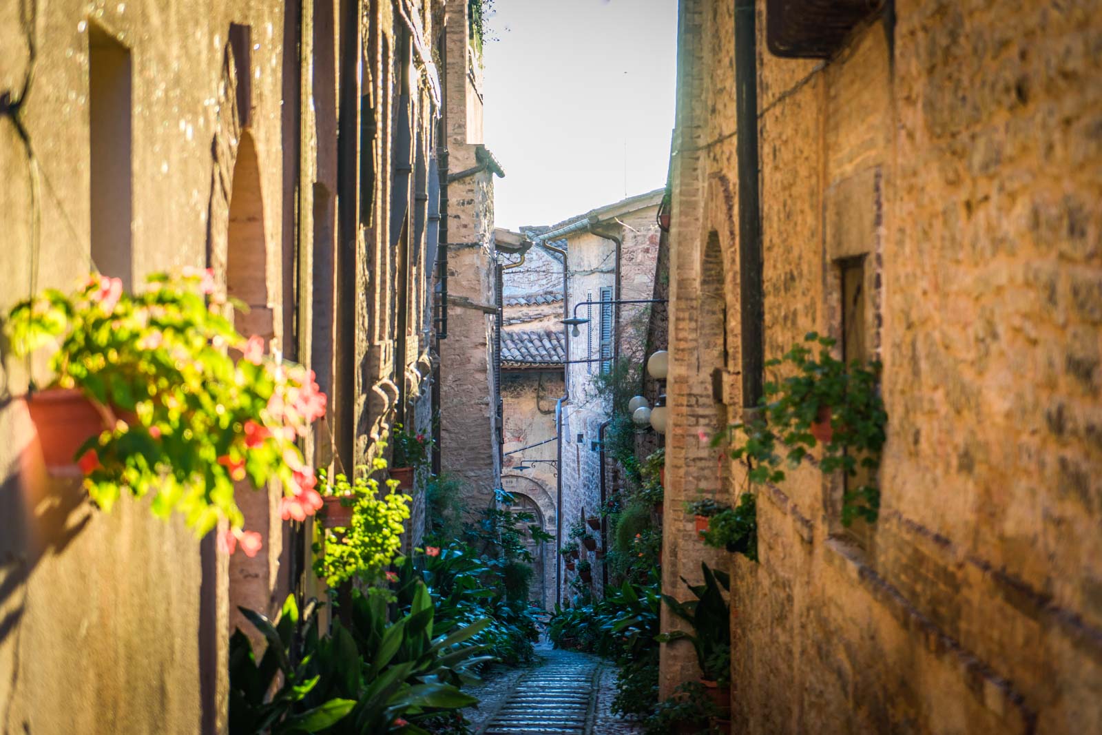 Walking the Way of St Francis, Italy
