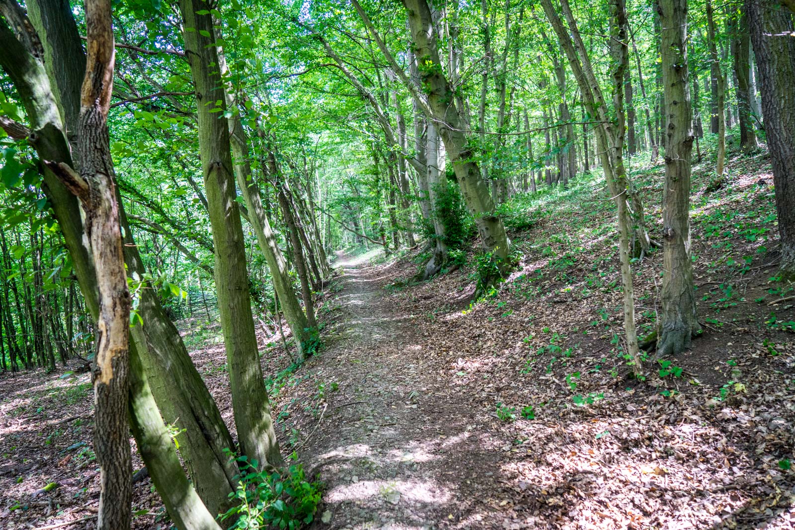 Hiking around Karlstejn Castle, near Prague, Czech Republic