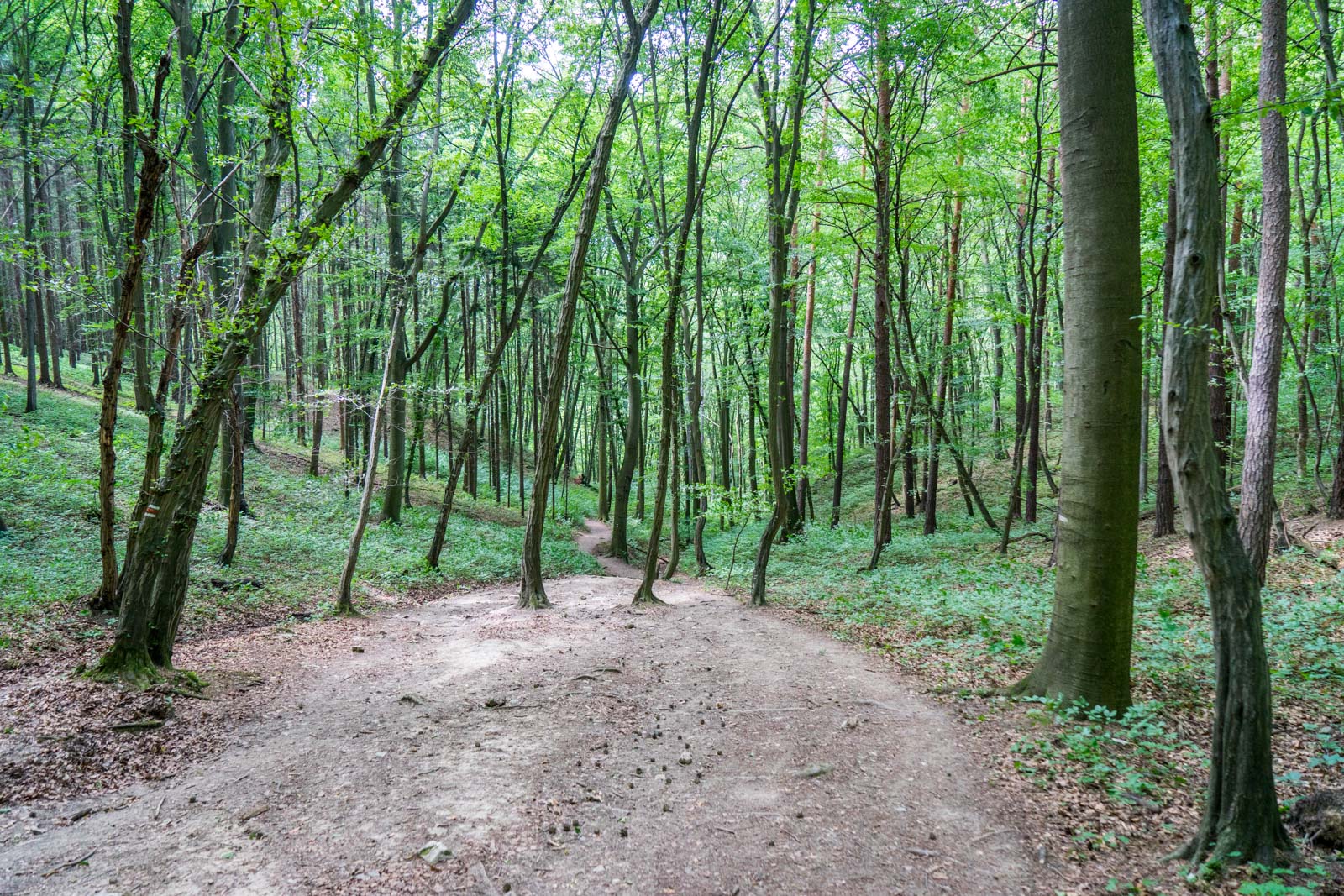 Hiking around Karlstejn Castle, near Prague, Czech Republic