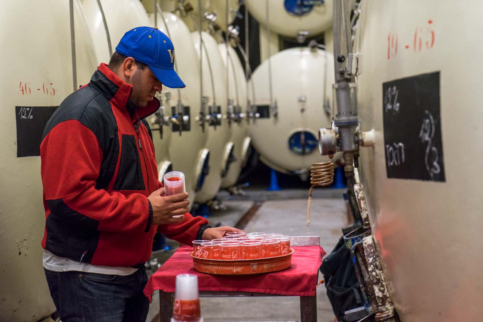 Budweiser brewery tour, Ceske Budejovice, Czech Republic